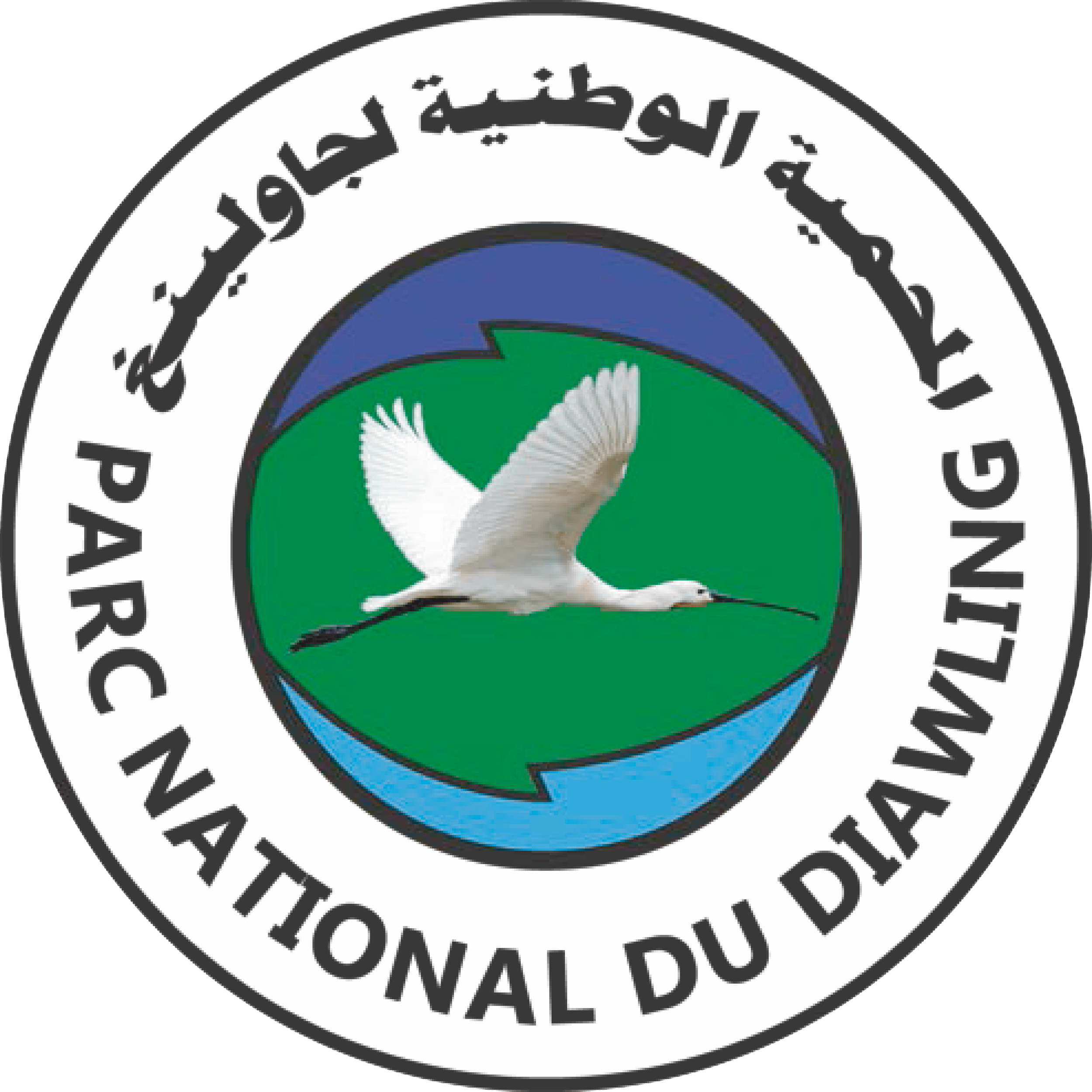 pnd_logo_oppure.png