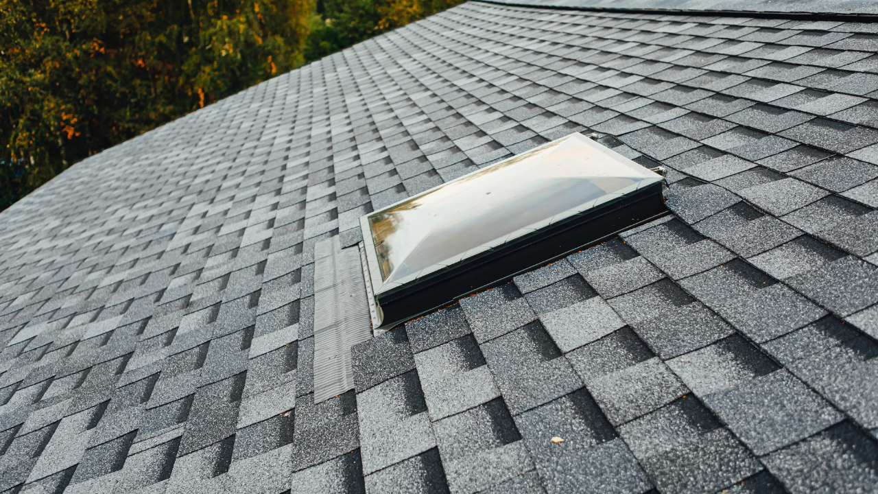 How To Get Rid Of Roof Rats: Pest Control for Rats In Your Roof
