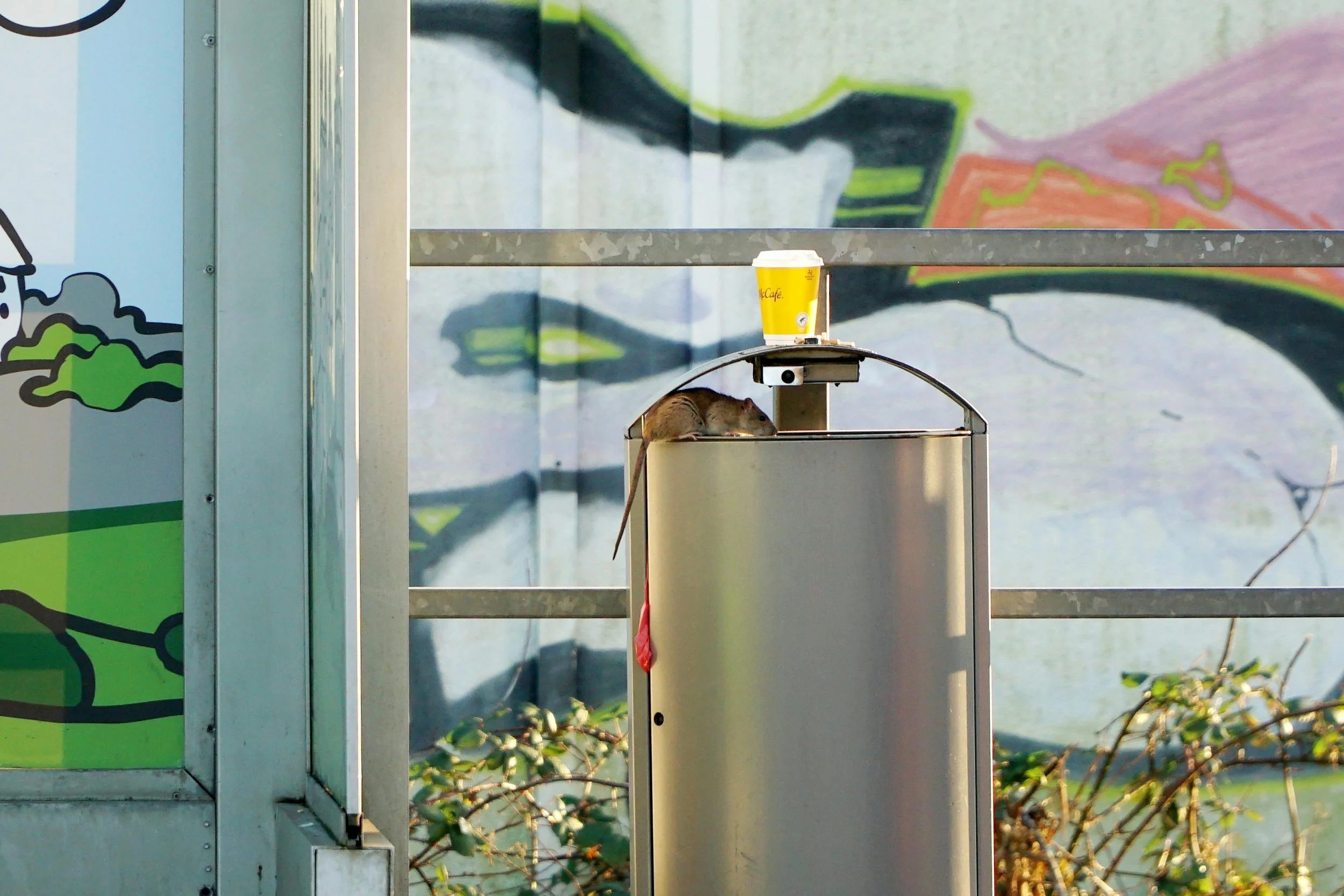 homemade rodent trap​