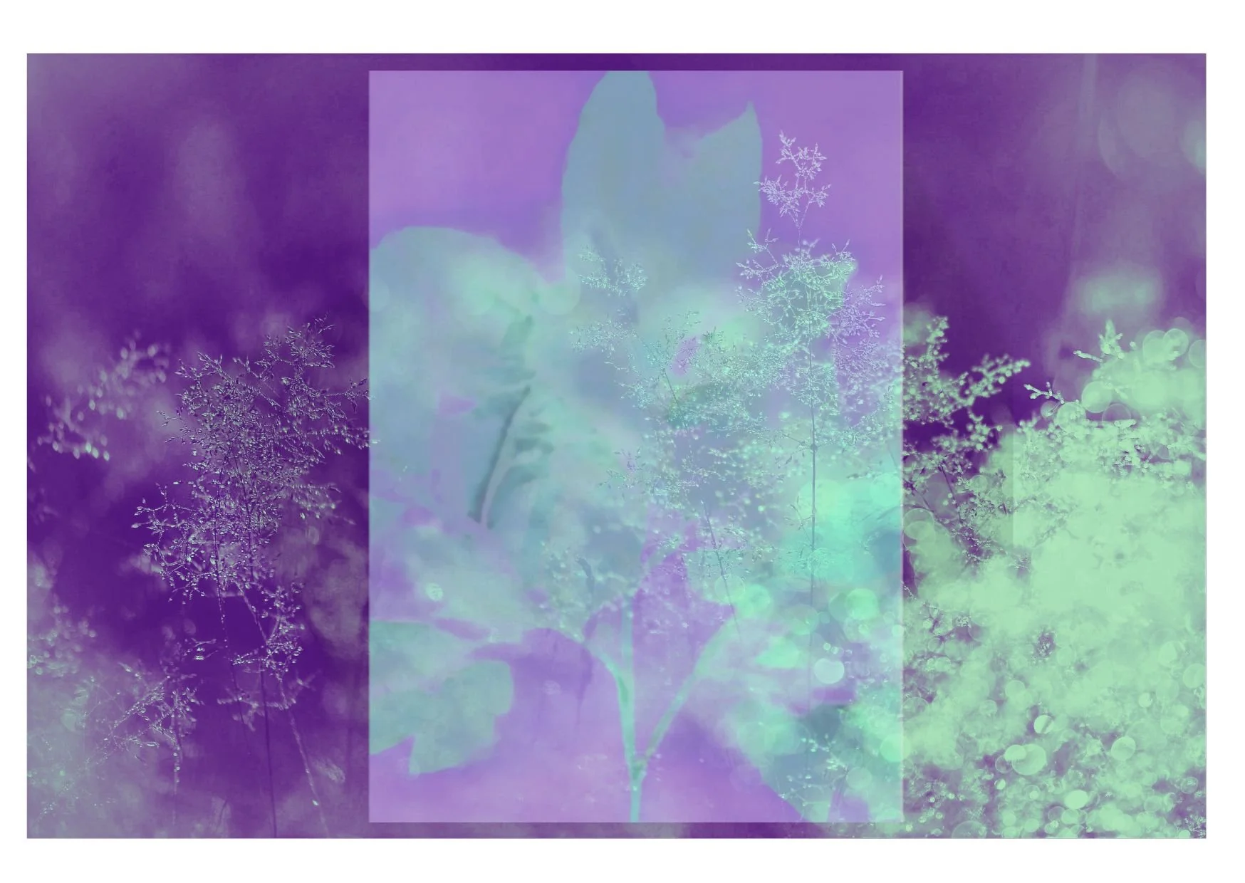 Atelier Danse &amp; Poésie Ondoyances d'hiver 