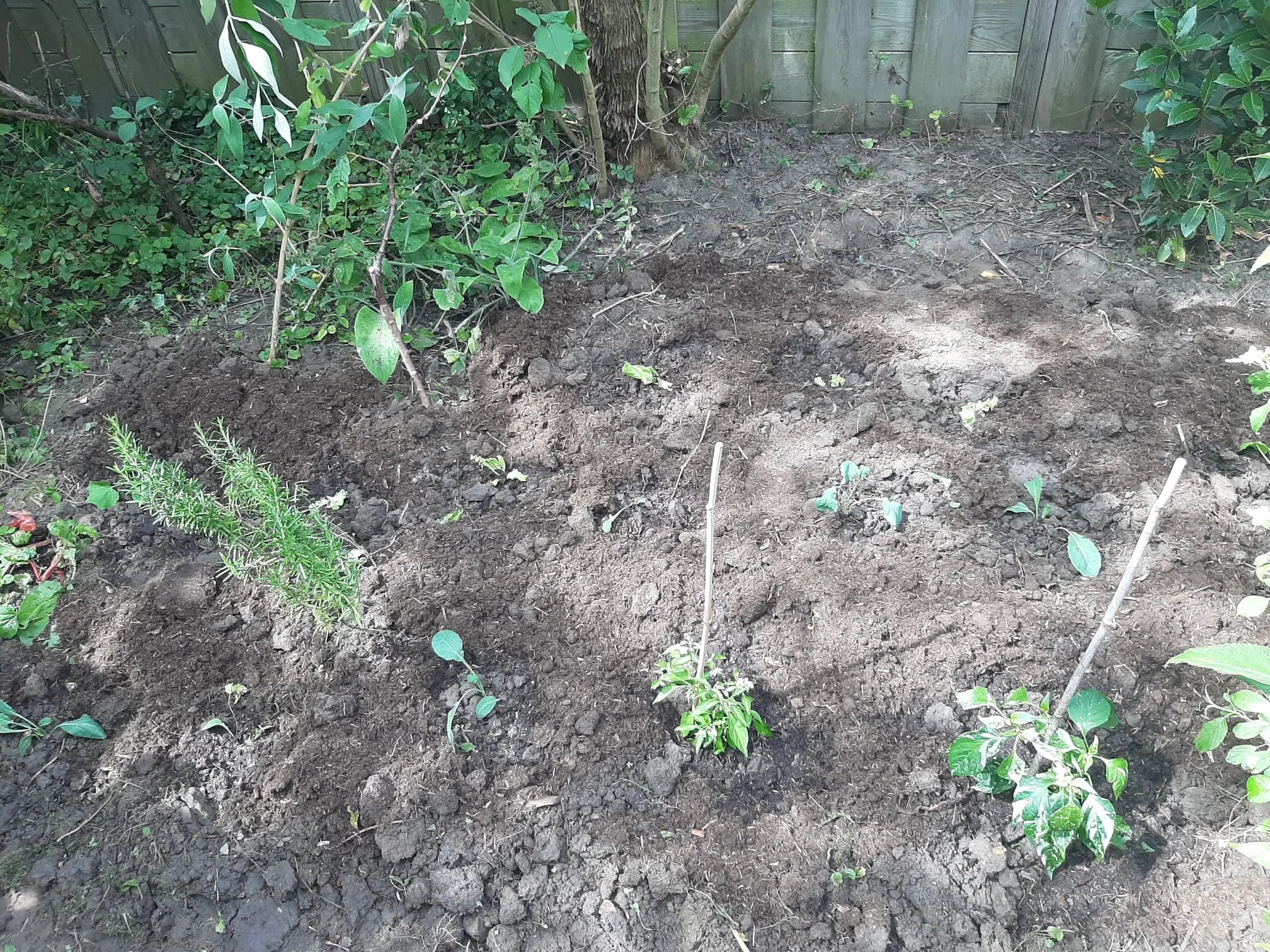 WhatsApp Image 2024-07-10 at 10.49.21 (3).jpeg