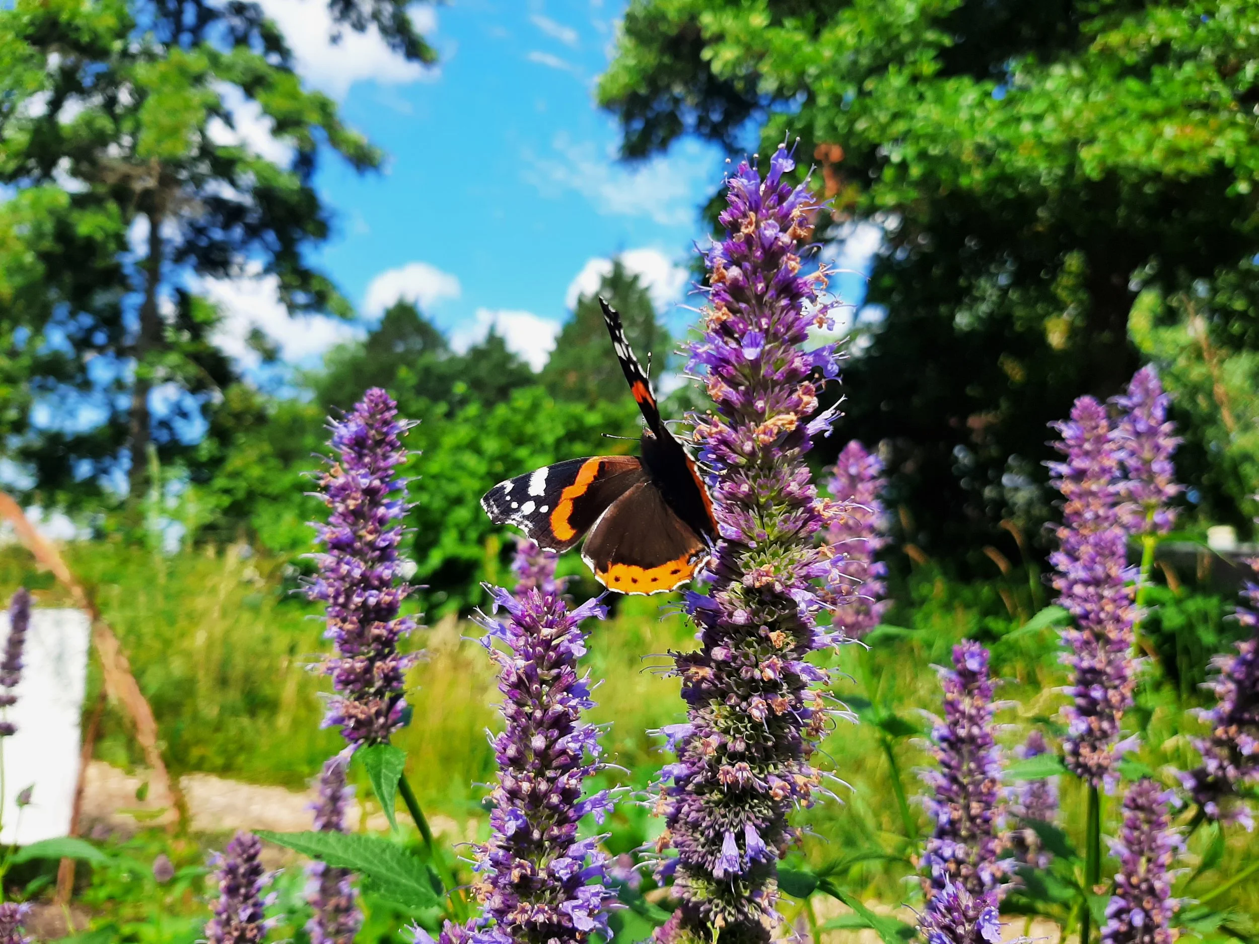 Tiles out, green in!