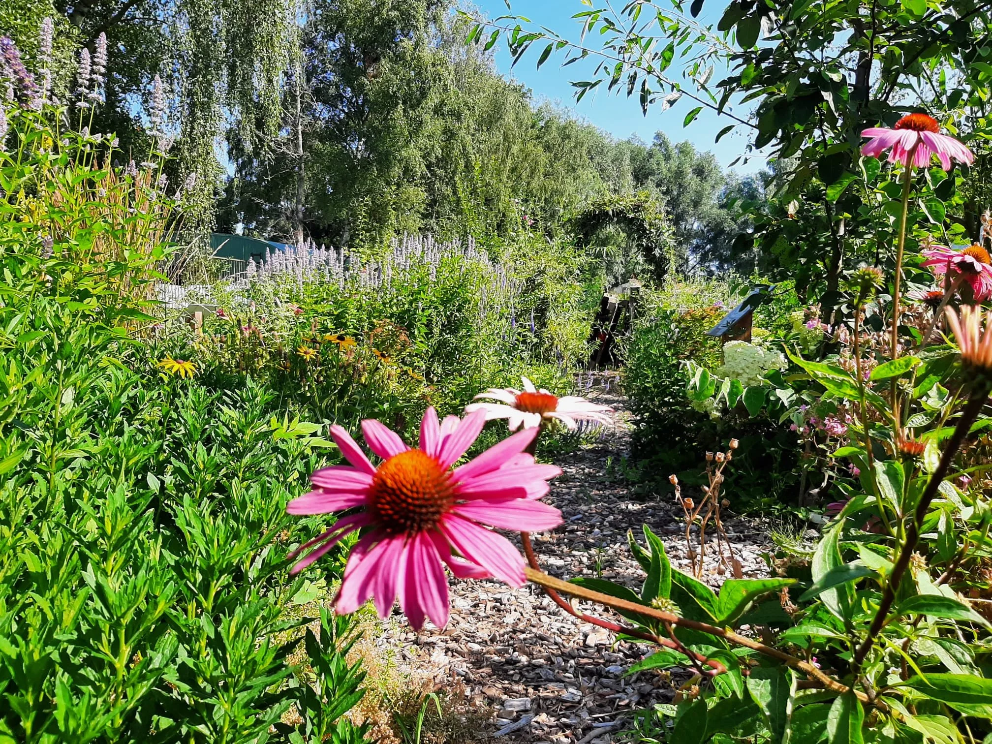 Aan de slag met de tuin + Spreekuur