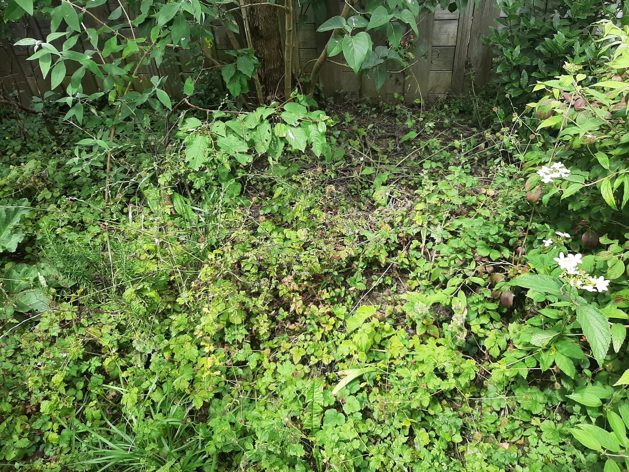 WhatsApp Image 2024-07-10 at 10.49.22.jpeg