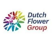 Logo van Dutch Flower Group met kleurrijk bloemachtig ontwerp en de naam in tekst.