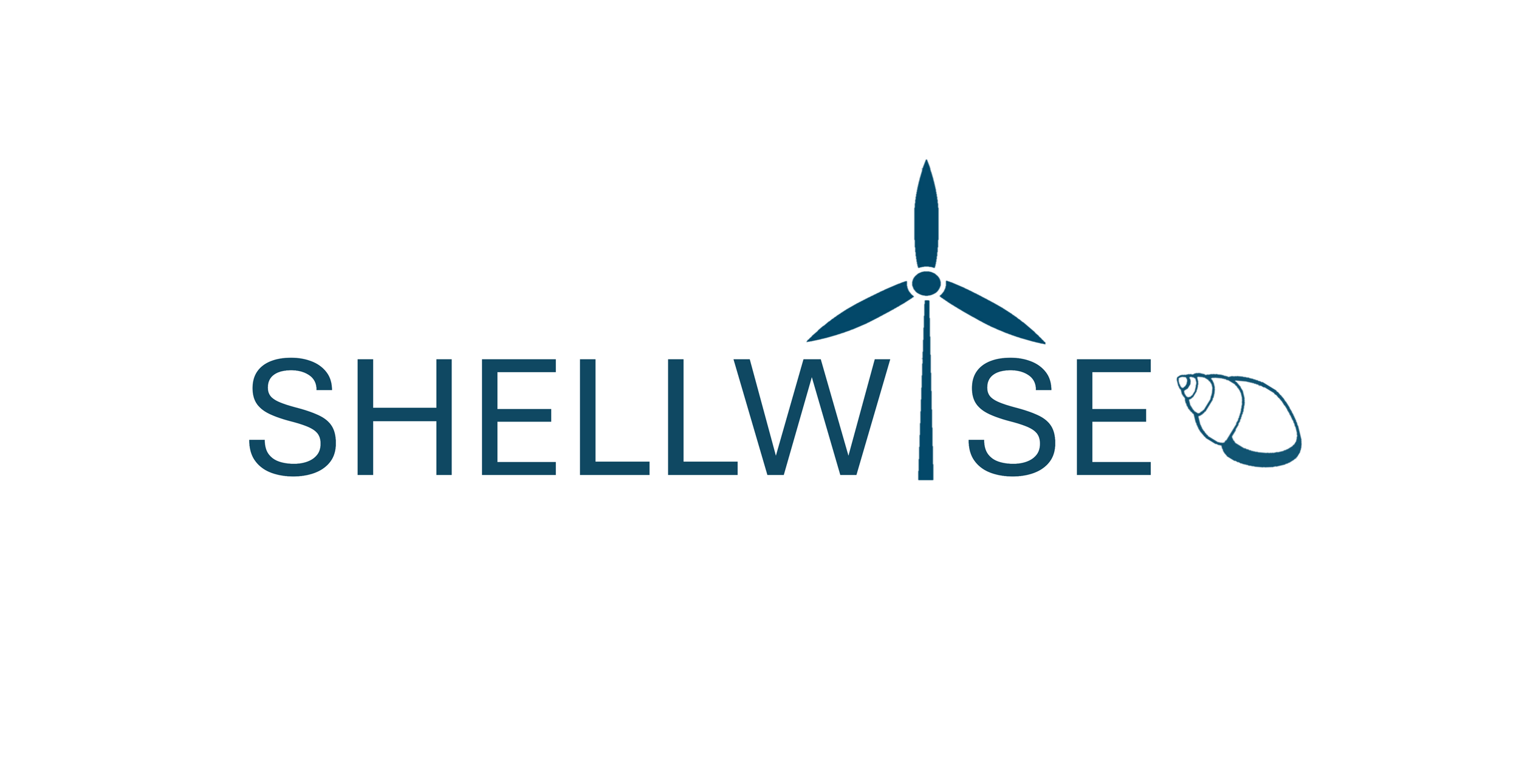 Shellwise: Assessment of the Impacts from Subsurface Noise and Vibrations due to Offshore Wind Farms