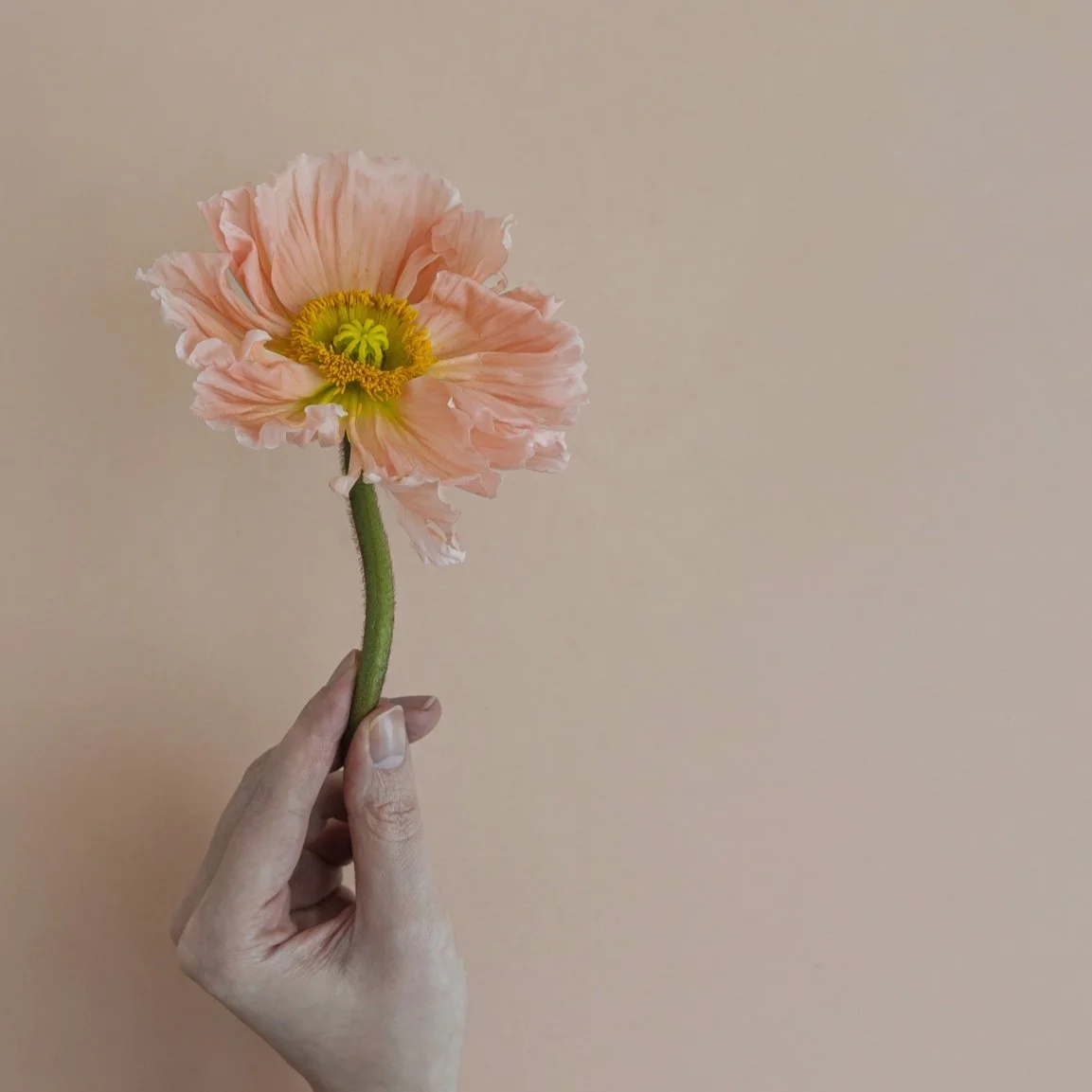 to receive & to be nourished // Workshop / Circle