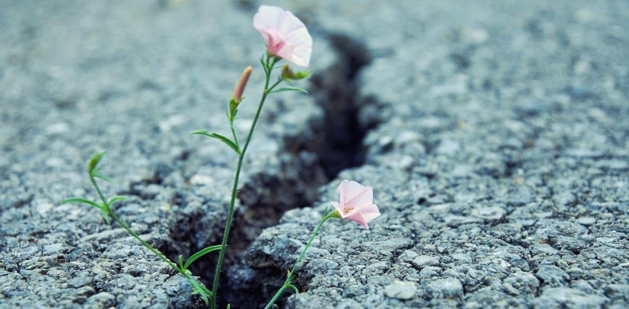 Cults and addiction; more similar than you might think?