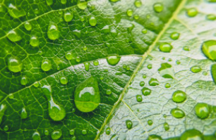 Cracking Down on Greenwashing: New Measures Against Misleading Claims