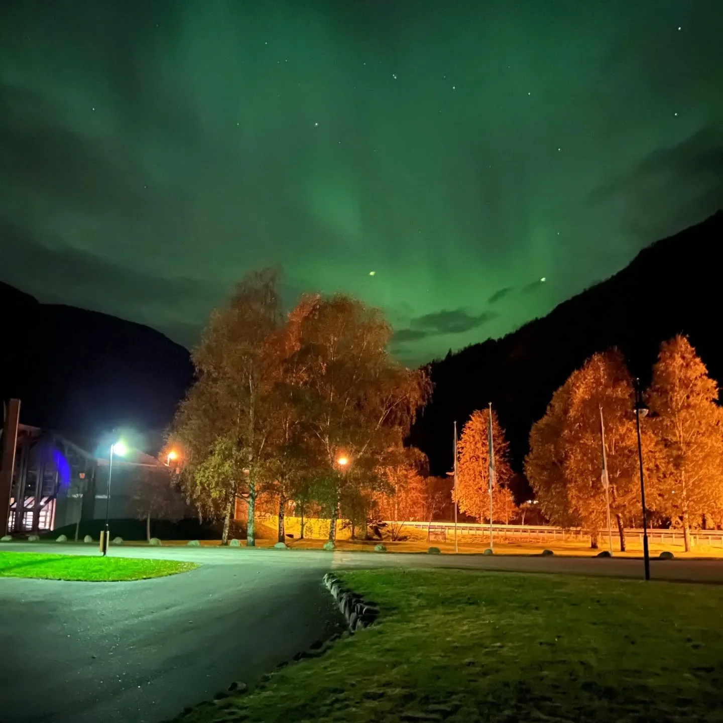 Aurora came to visit us this evening, in all her glory ✨ 💚
#auroraborealis #aurora #visiteidfjord #visithardangerfjord #visitnorway #hardangerfjord #norsknatursenter