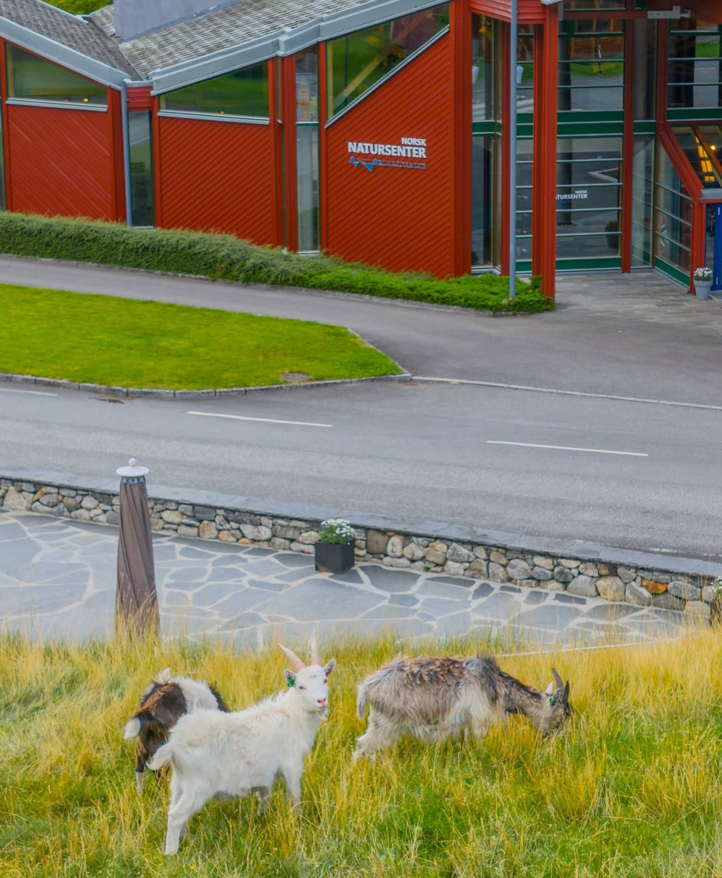 Tomorrow is the big day, the 2026 season opening at Norwegian Nature Center! 🎉 

From the 27th of March you can experience our exciting exhibition about norwegian nature, climate and environment! 

Across the street you can enjoy norwegian food cult
