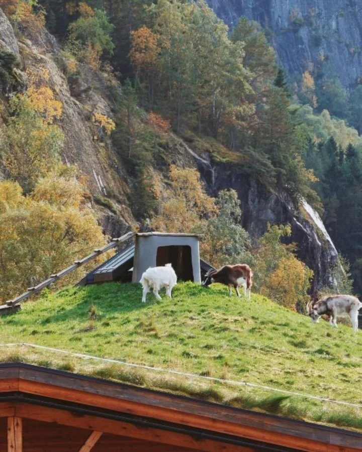 Haustvinden herjar i &Oslash;vre Eidfjord 🌬🌪