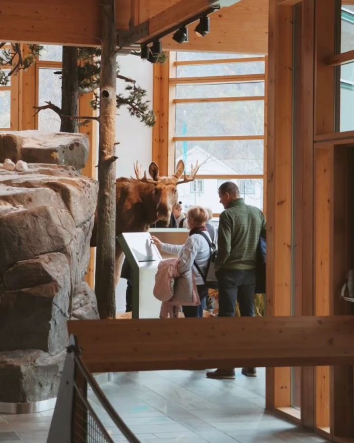 Do like our AIDA guests and hide from the autumnal weather in our exhibition 🍂 

Norwegian Nature Center is open from 10-18, mon-sun ⛰️