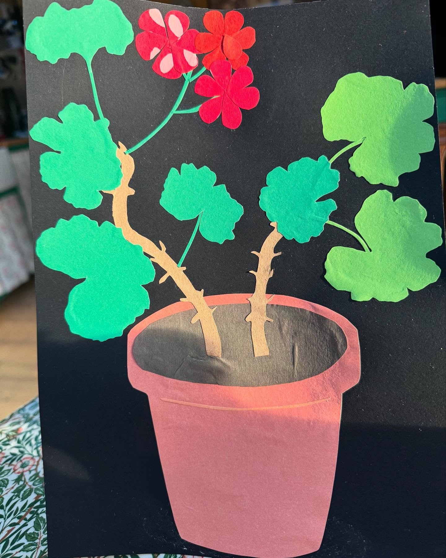 I made this card for my sister&rsquo;s birthday. It has inspired me to make a larger one with more detail (I wonder if I should make geranium cards?) AND clean my kitchen windows. Thanks and Happy Birthday @thierryk 🎈