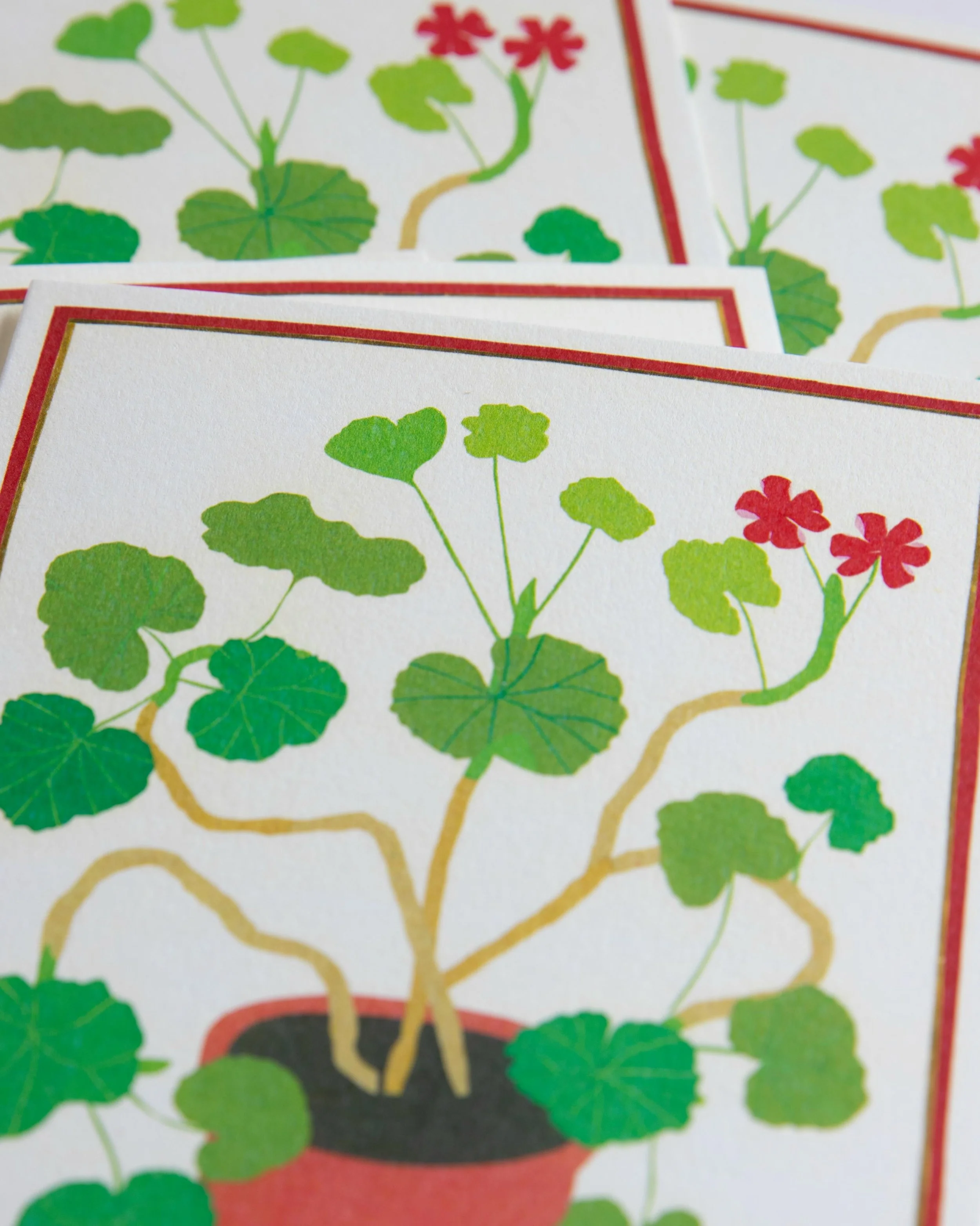I&rsquo;ve made some new cards for summer and these hot, hot days. Geraniums in a pot and geraniums in a dacha window because geraniums are such a stalwart. I don&rsquo;t think I&rsquo;ve lived anywhere without them and I love seeing them on a window
