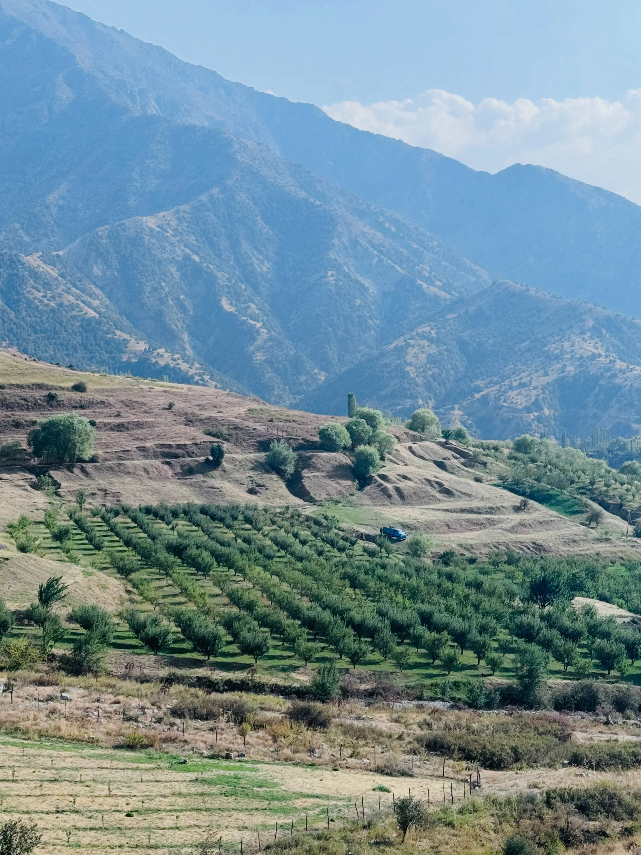 From the apple orchards of the Hissar mountains to the trees and wildflowers, the 48 year old Lada Nivas still going strong, the endless gates and fences (i dont think I&rsquo;ve left a single one unphotographed), the fresh springs, the vegetable pat