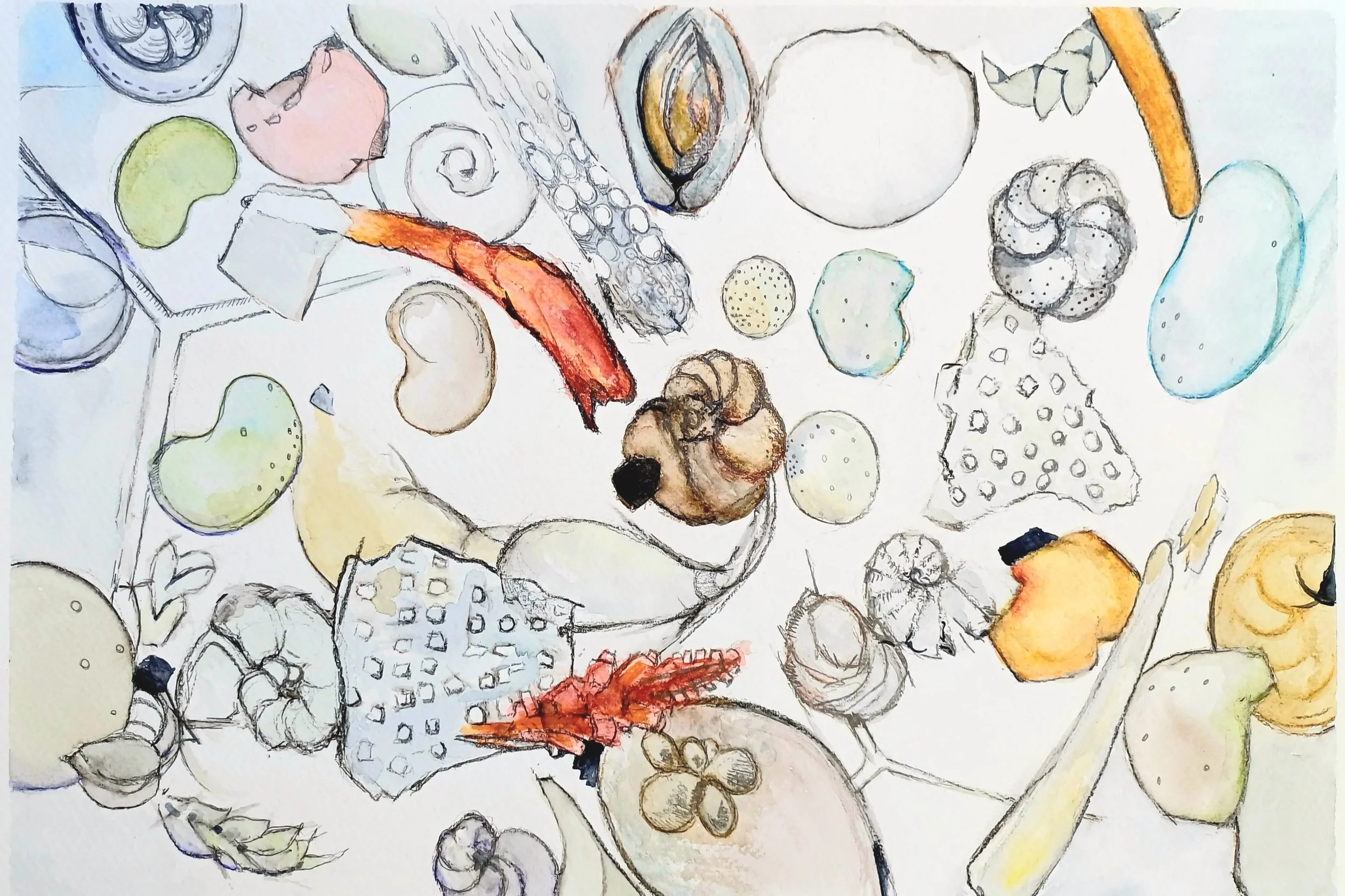 Living Sand - A/3 watercolor and pencil