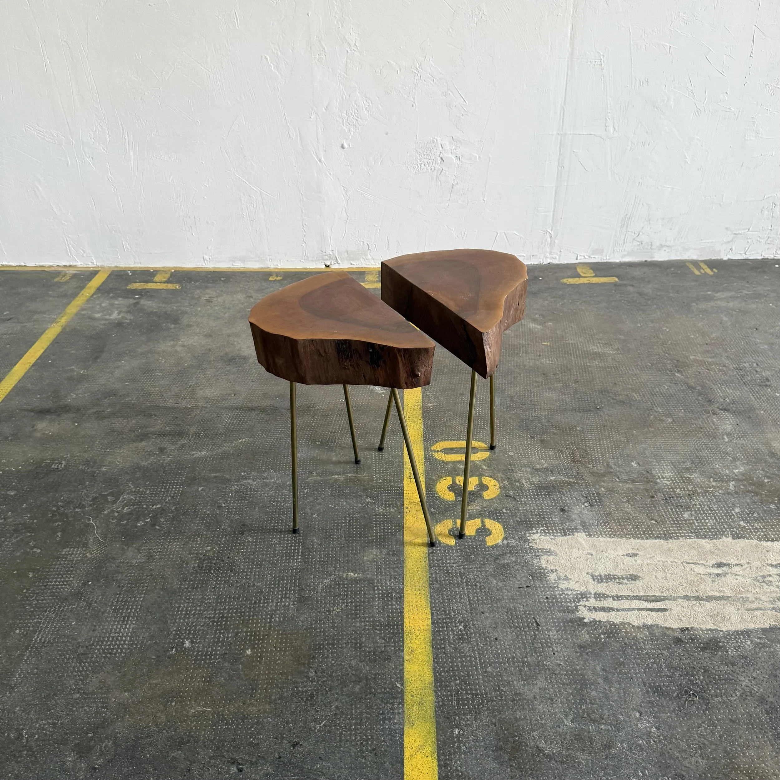 Pair of Tree Trunk Tables in the Style of Carl Auböck, Austria 1950s