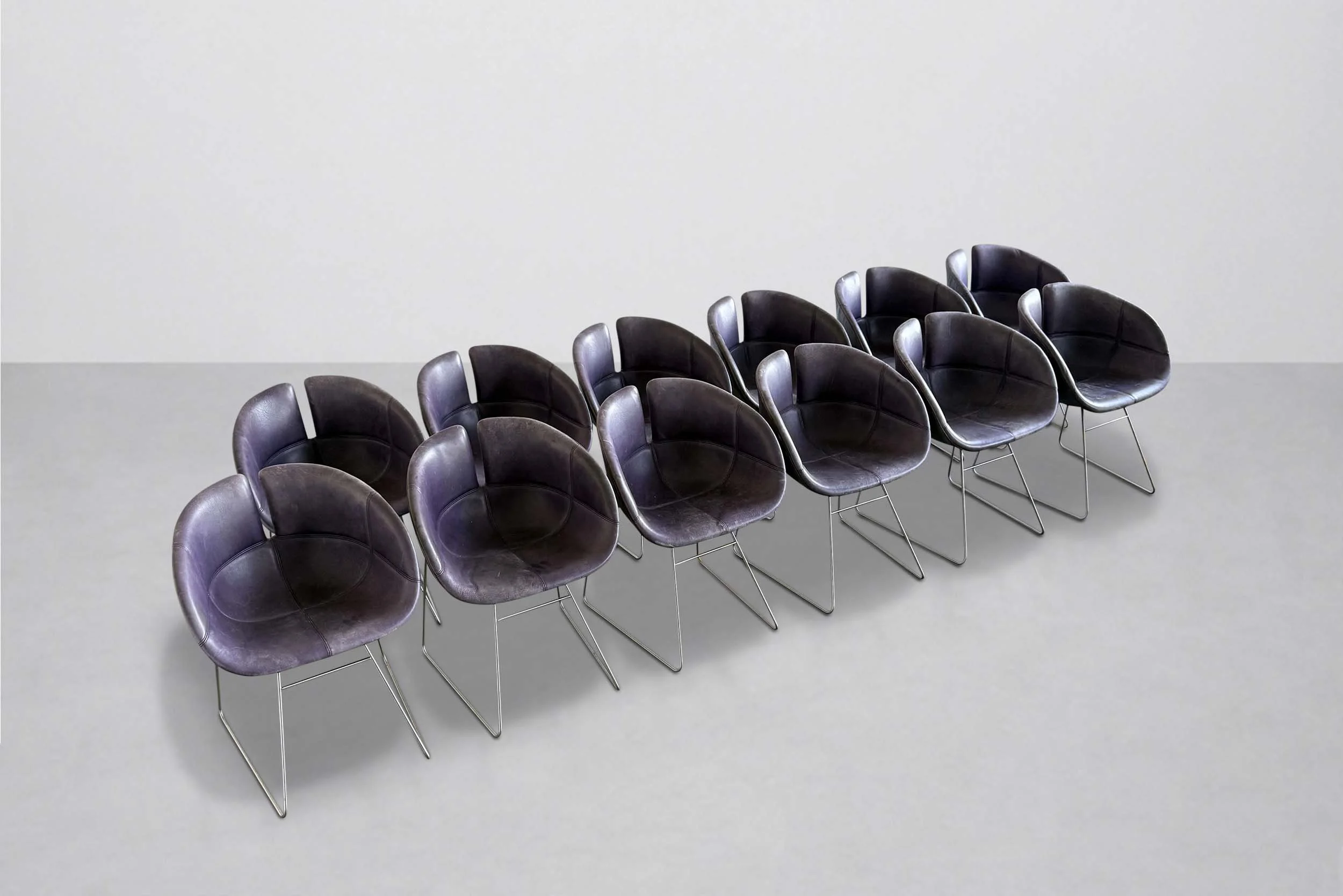 IMG_0842.jpg