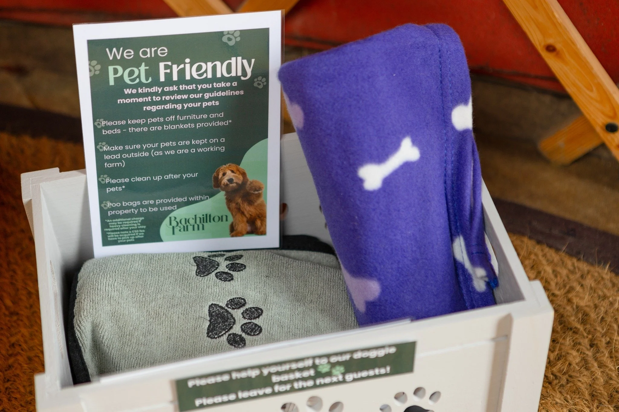 🐾 Did you know&hellip; we&rsquo;re dog friendly?

Your four-legged friends are very welcome at Bachilton &ndash; so no need to leave them behind when you come and stay. Plenty of space to run, sniff and explore, then cosy evenings together.