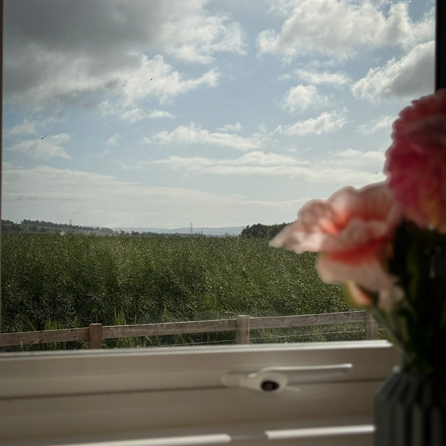 Hot tubs. Fresh air. Wide open spaces. That&rsquo;s your sign to book a little countryside reset at Bachilton Farm Holidays.

Whether you fancy a cottage stay with all the comforts of home or a yurt escape with a bit of extra magic, Bachilton is made