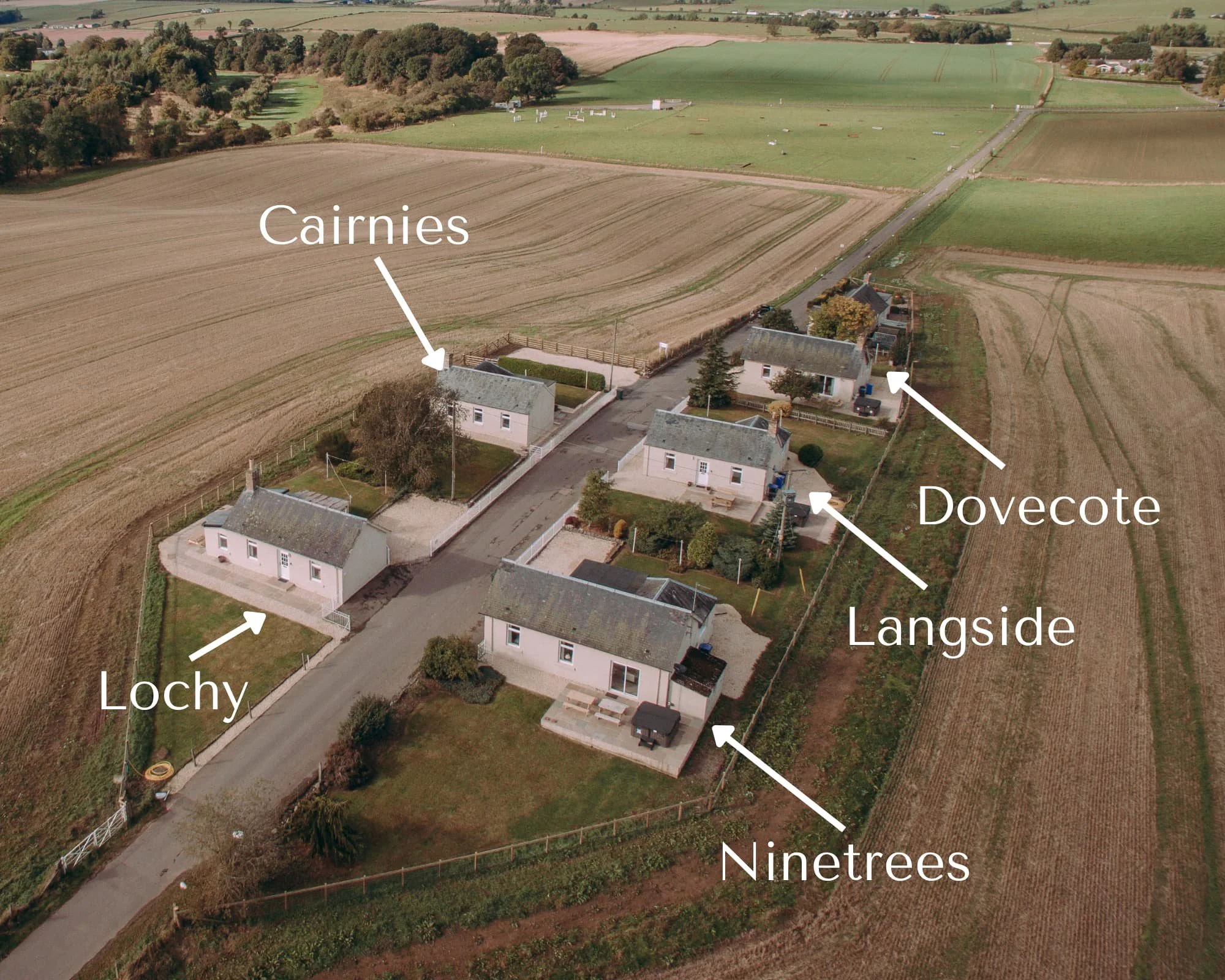 2_compressed (2).jpg