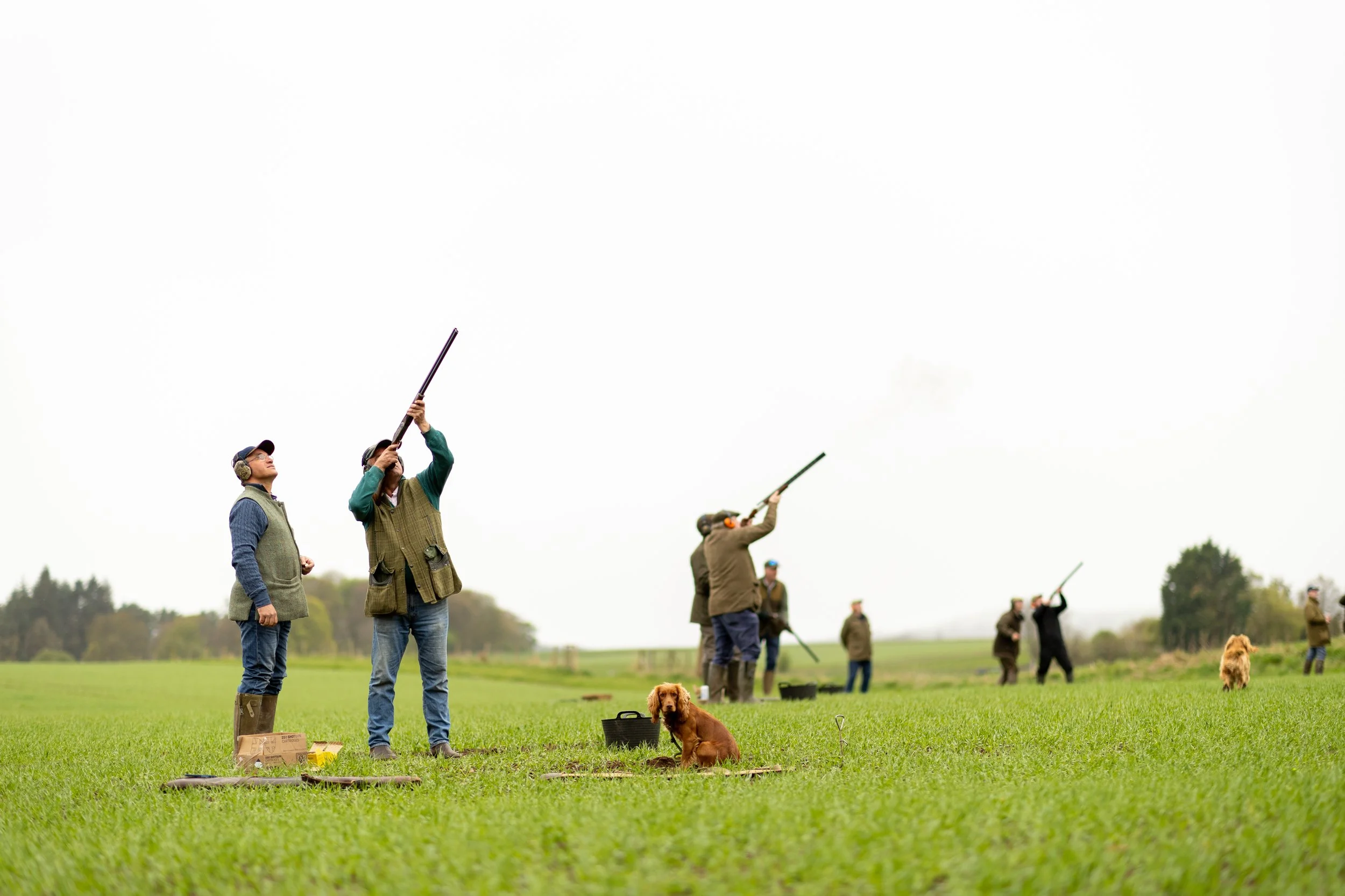 People participating in a clay pigeon shooting event outdoors on a grassy field, with some aiming shotguns towards the sky and dogs present.