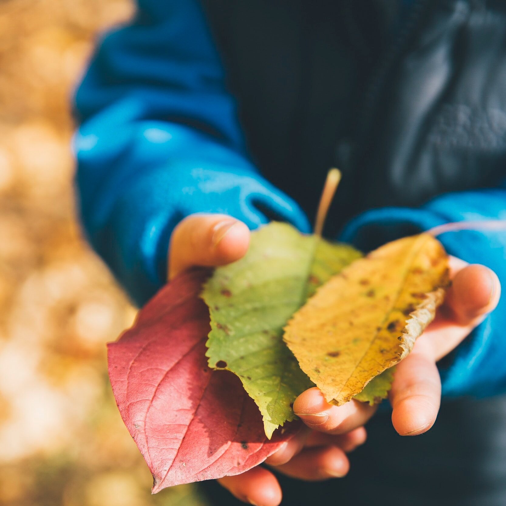 How does outdoor learning impact children?