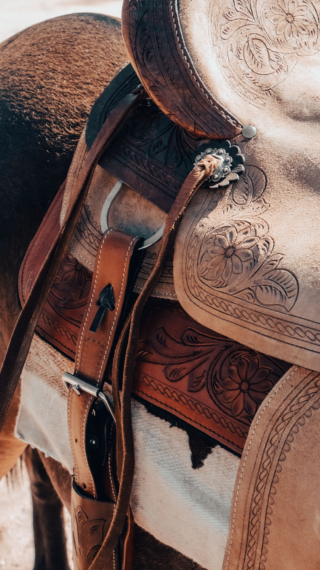 SUELO SUR WEB TEMPLATES (17).png