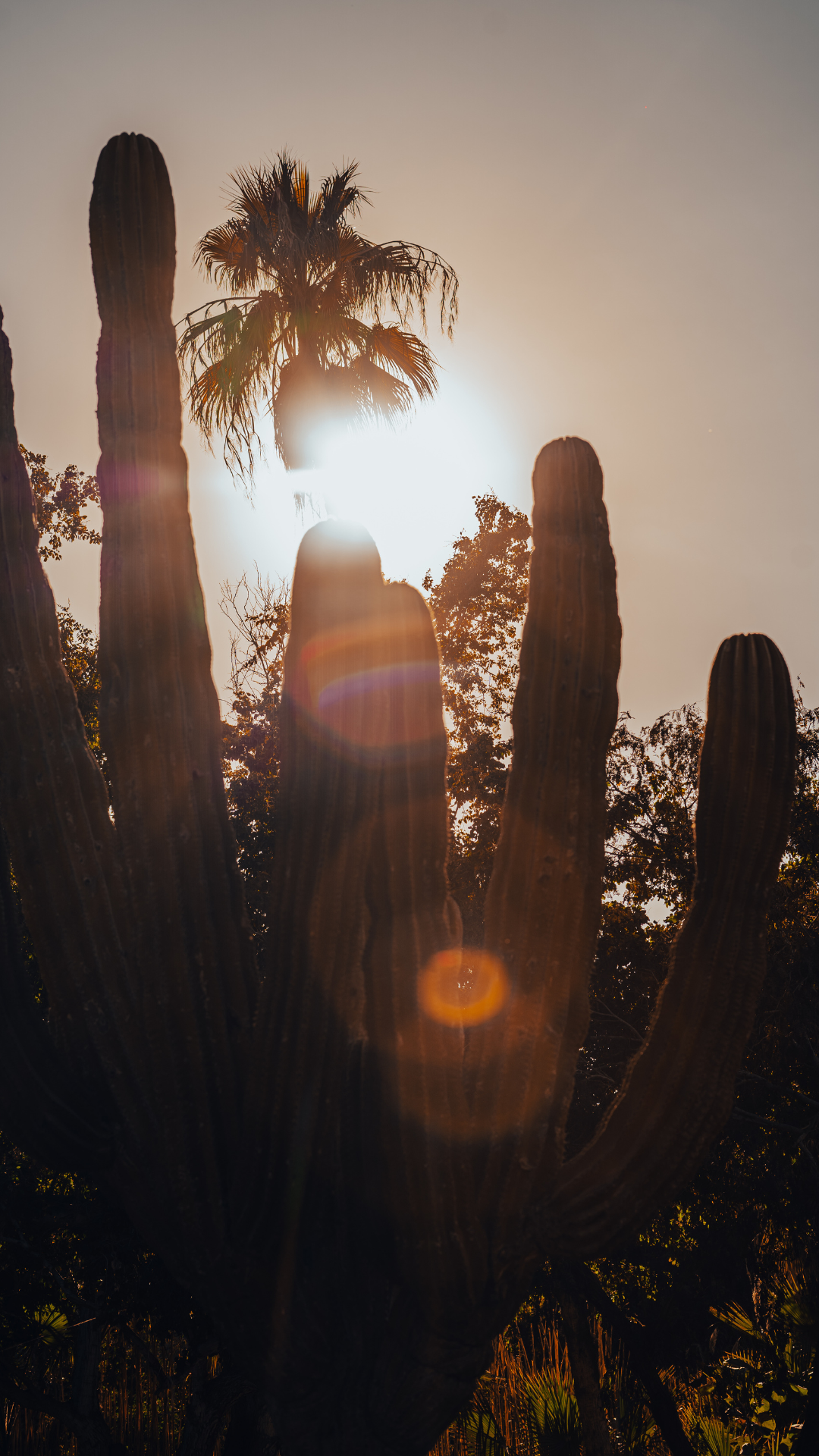 SUELO SUR WEB TEMPLATES (20).png