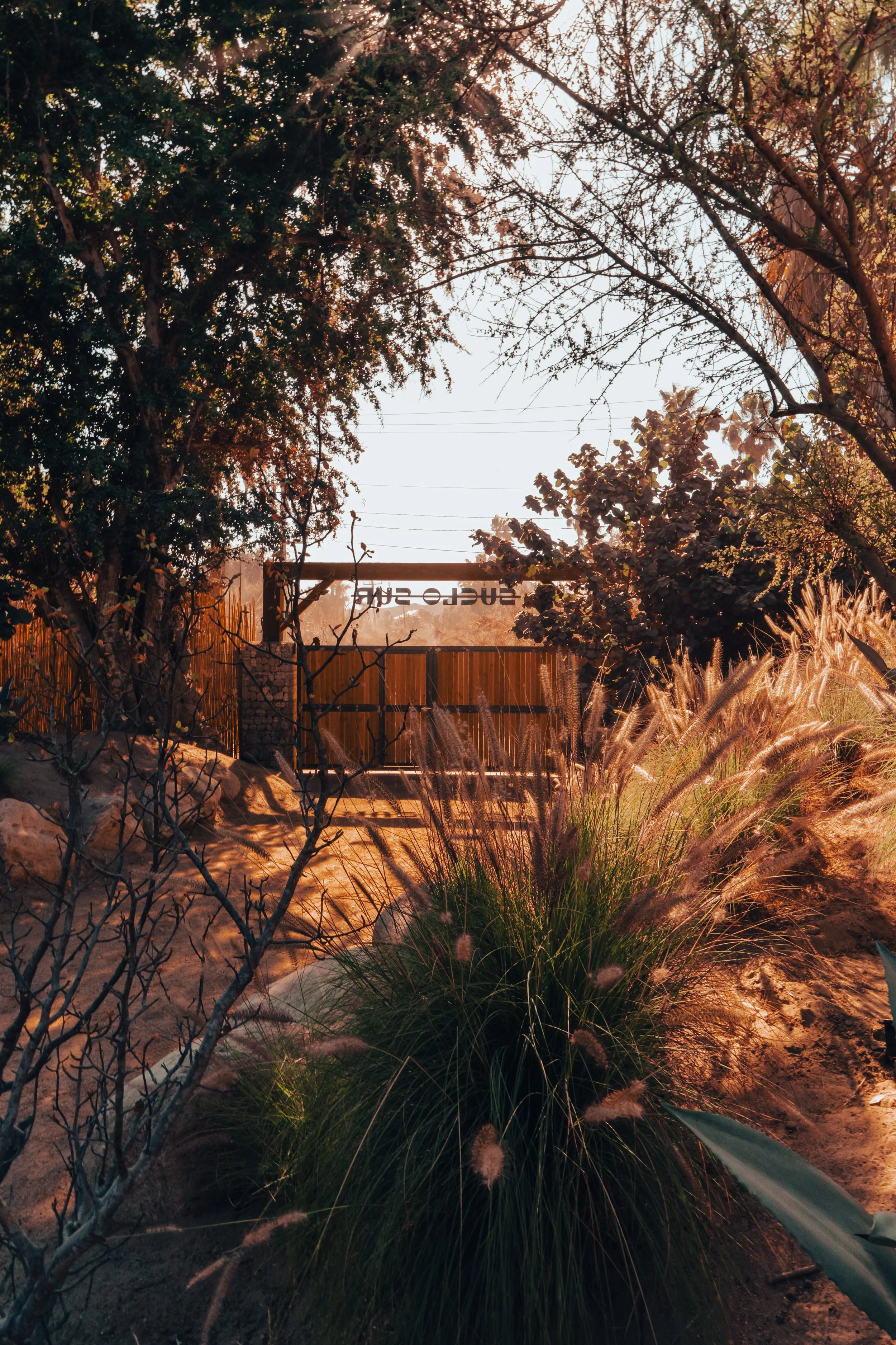 A sunlit garden with a dirt path, bushes, trees, tall grass, and a wooden fence in the background with the word 'Ecuador' on it.