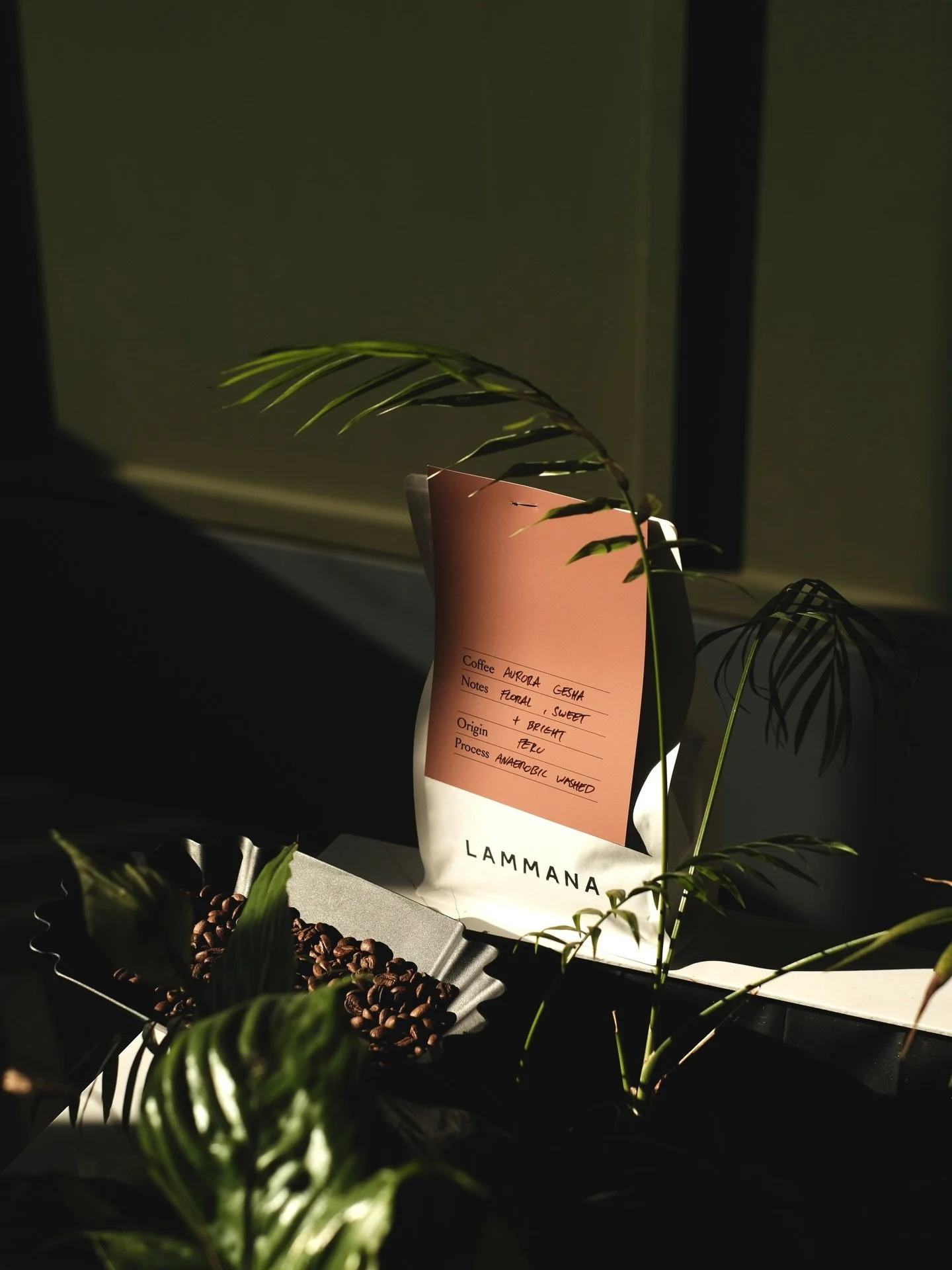 February Feature &bull; @lammanacoffee &bull; Aurora, Gesha

First sips of our Feb feature espresso at our monthly coffee tasting - Sat 07 Feb; we&rsquo;ll be cupping, brewing and discussing for free, from 9am. 

By popular demand our feature roaster