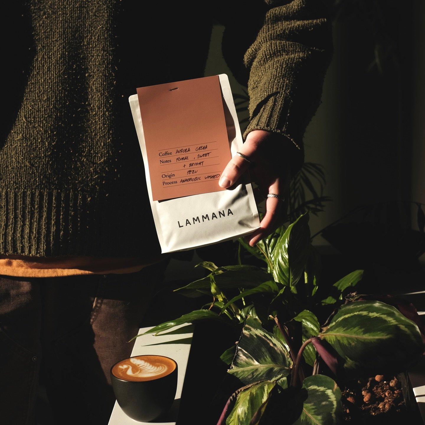 Last Chance Pours &bull; Monthly Coffee Tasting &bull; BYOBeans

It&rsquo;s the last week of Aurora Gesha feature coffee from @lammanacoffee. These sweet &amp; floral, anaerobic washed Peruvian beans, taste like peaches &amp; cream as a flat white. S