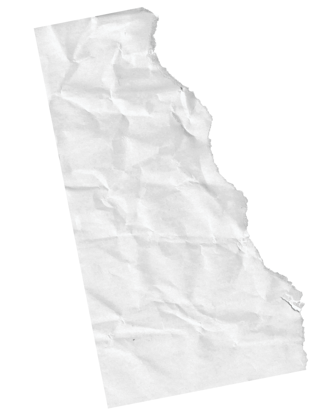 Torn crumpled piece of white paper.