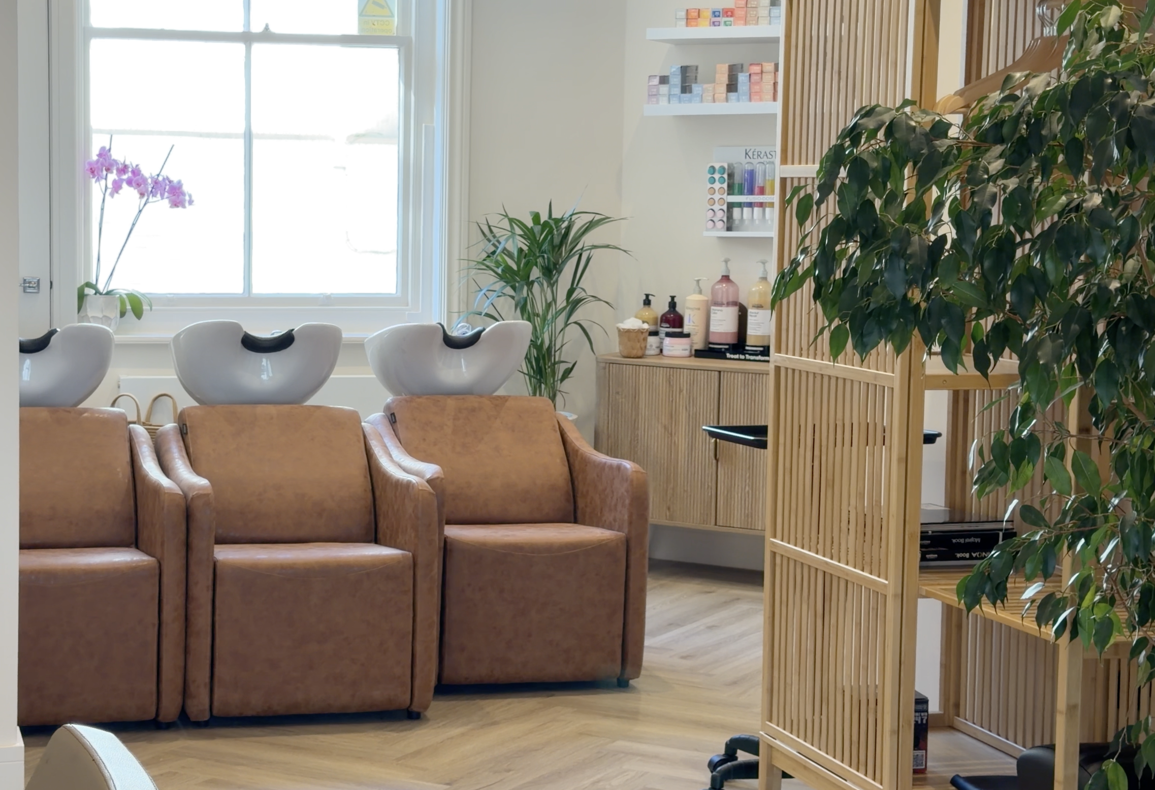 A waiting area with brown leather armchairs, a window with sunlight, a white orchid in a vase, green plants, and shelves with colorful products and bottles.