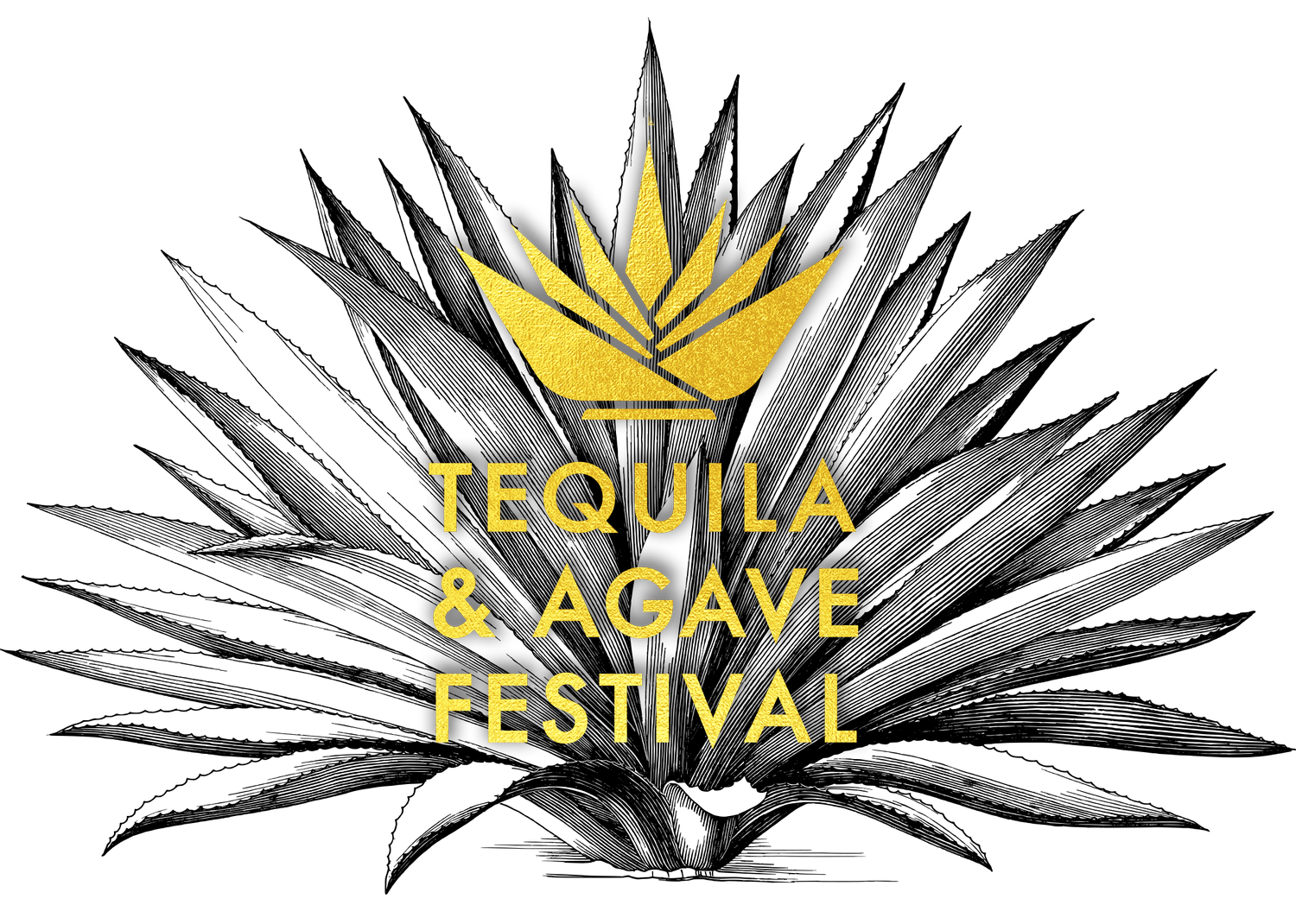 Vancouver&#39;s First Tequila &amp; Agave Festival