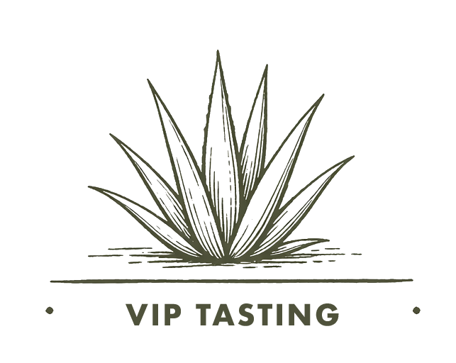 Geometric drawing of an outline square with sections divided by vertical, horizontal, and circle lines.