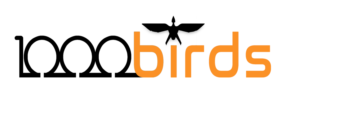 1000-Birds