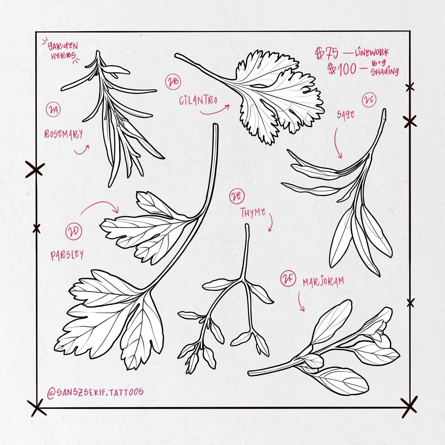 I'll be taking walk-ins tomorrow @fabletattoogallery. Drew up some garden herbs and spook shxt, come by and say hi and get a cute lil tattoo 🥰 More details below, or hit my email up ⬇️ Thanks for looking!

$75 for linework only, $100 for b/g shading