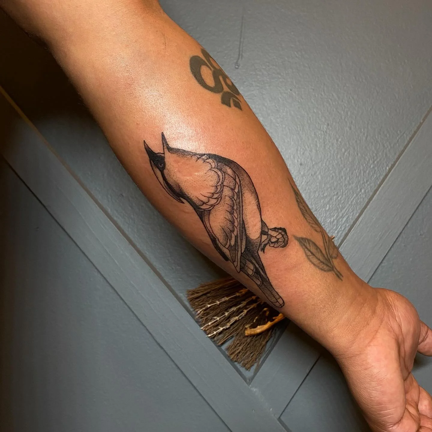 Cardinal from my Virginia flash in black and grey 🪺 Thanks to Levi for snagging this one, done @pinkpossumtattoo this past weekend. 

📧 Email: sanszserif.tattoos@gmail.com
📨 Booking Form: sanszseriftattoos.com/contact

#rva #rvatattoo #rvatattooar