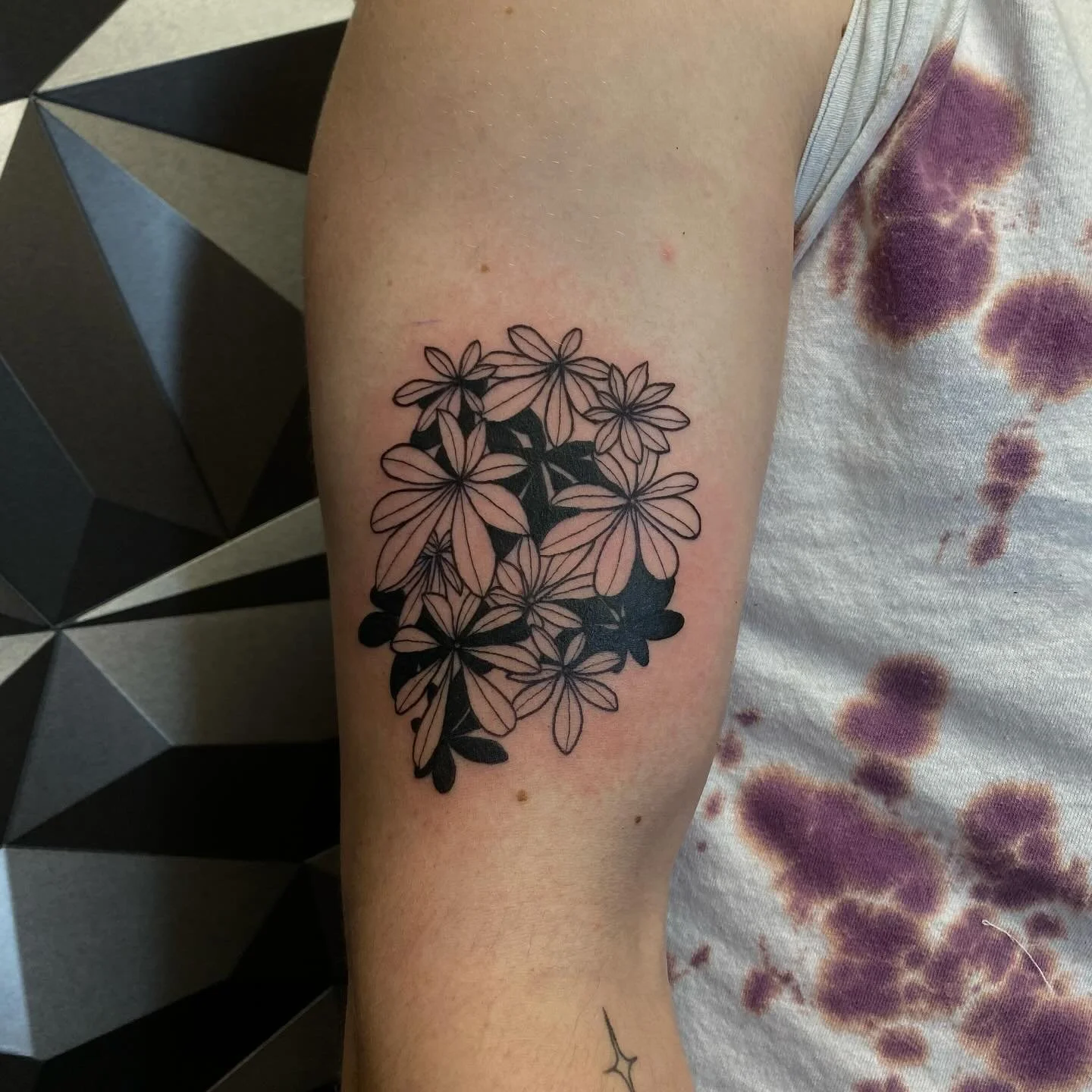 Drawf umbrella plant 🪴 Thanks to Ross for letting me bring his initial sketch to life! 

@turquoisepanther.tattoo
📧 Email: sanszserif.tattoos@gmail.com
📨 Booking Form: vagaro.com/turquoisepanthertattoo/book-now

#rva #rvatattoo #rvatattooartist #v