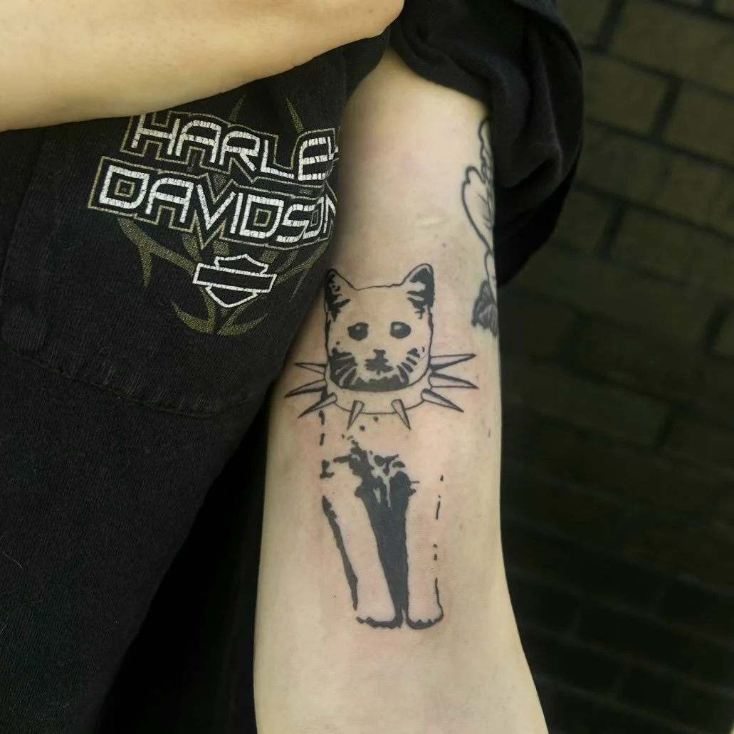 Un gatito feroz.

📧 Email: artistofflesh.tattoos@gmail.com
📨 Booking Form: vagaro.com/turquoisepanthertattoo/book-now 

#rva #rvatattoo #rvatattooartist #vatattooartist #artistofflesh
