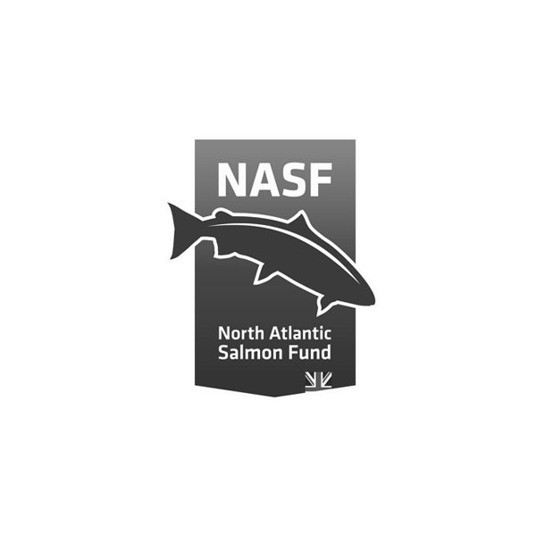 NASF-logo.png