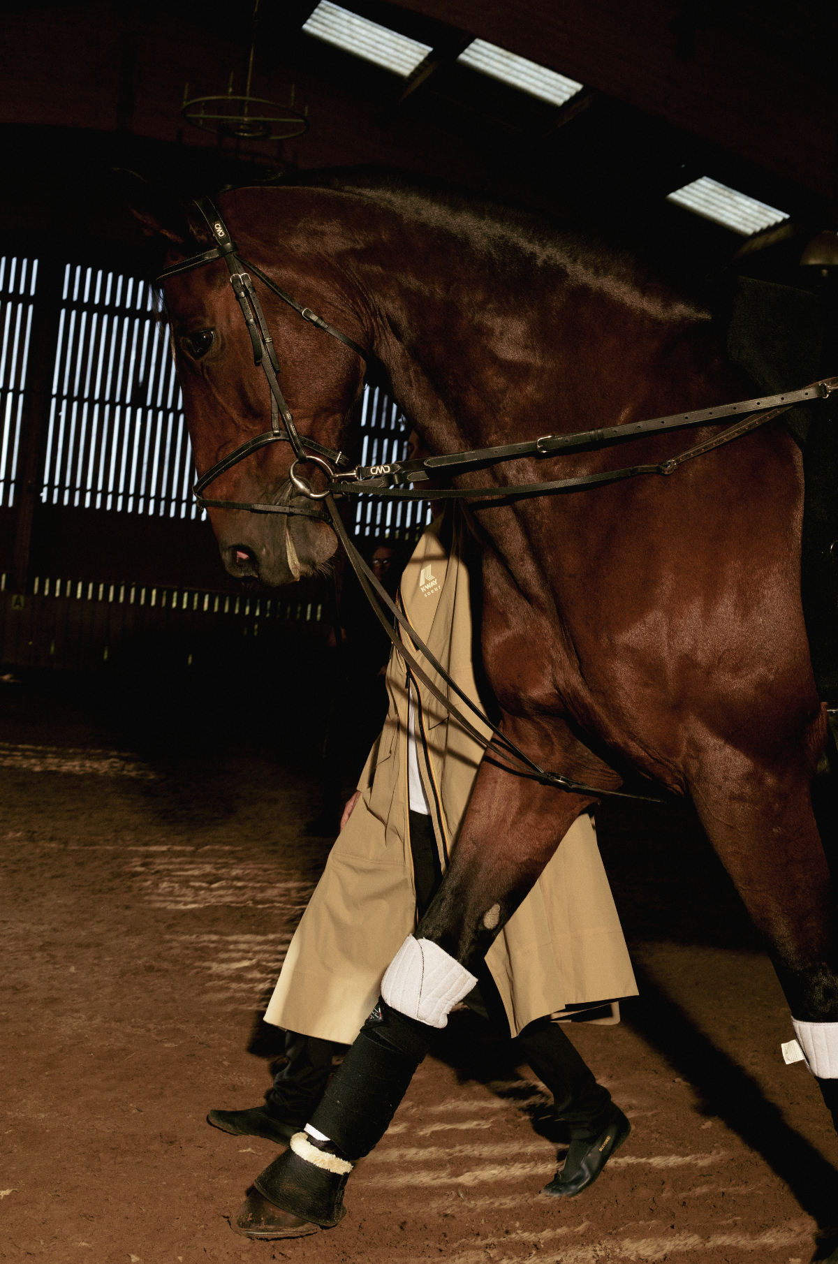 Capture d’écran 2023-11-08 à 15.52.21.png