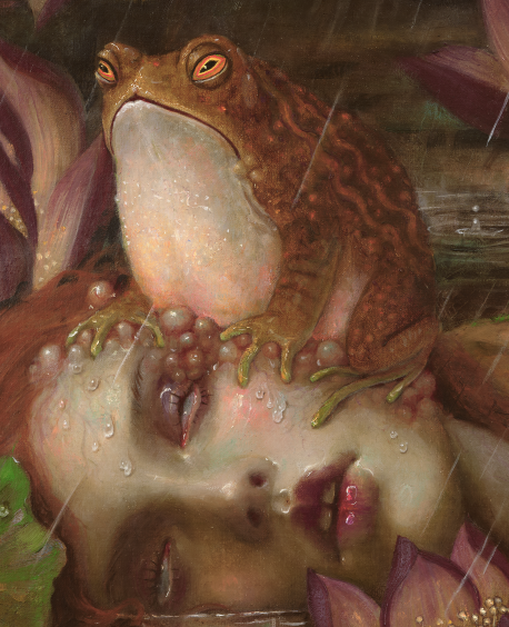 face toad crop small.png