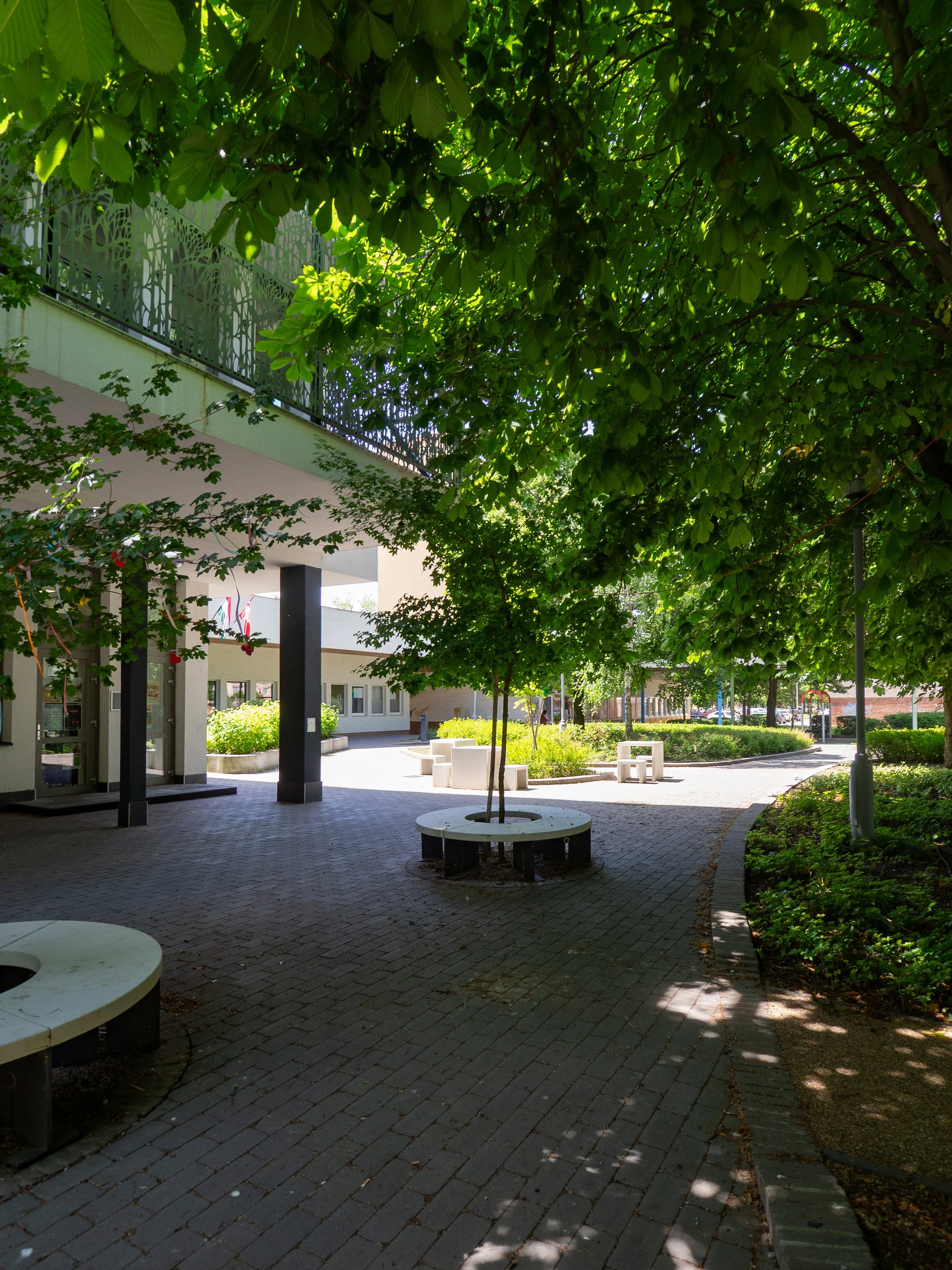13_Z5290347.jpg