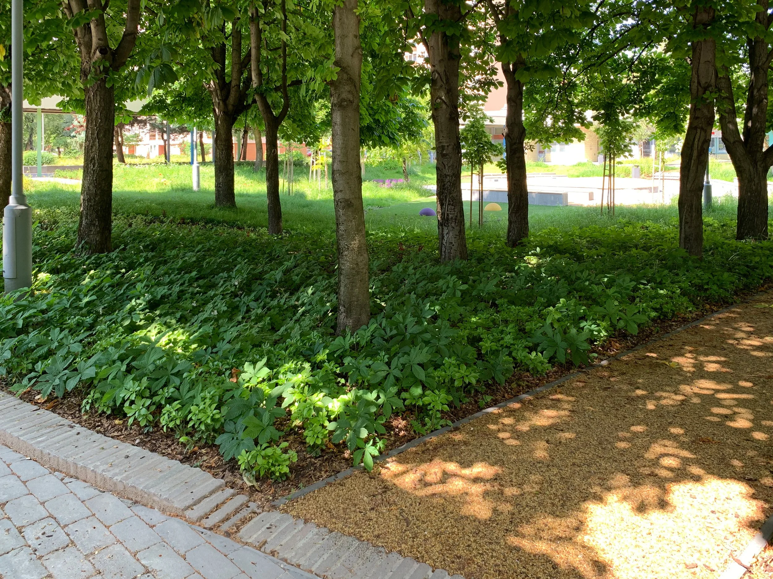 09_2022-05-27 14.39.32-2.jpg