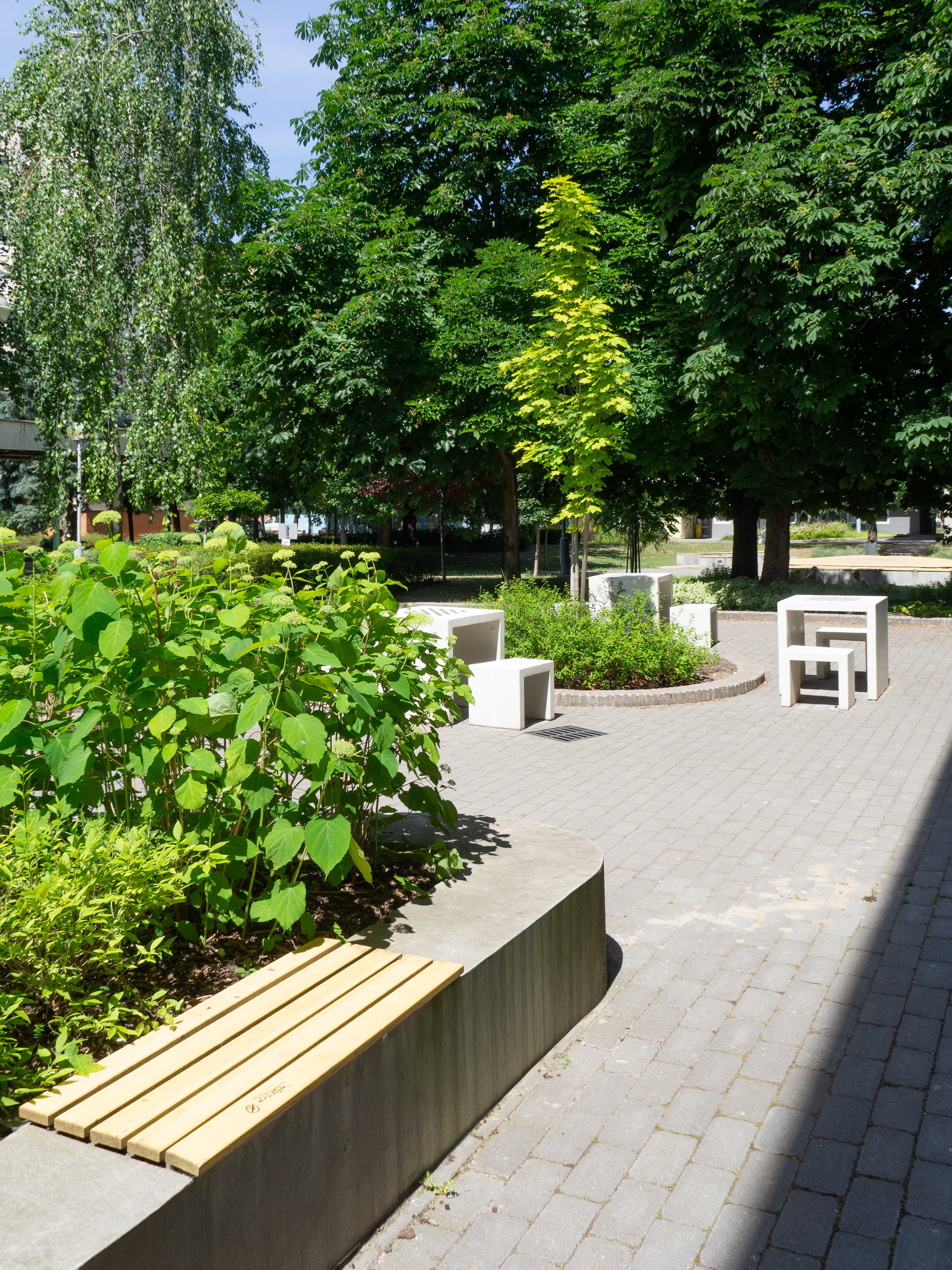 12_Z5290337.jpg