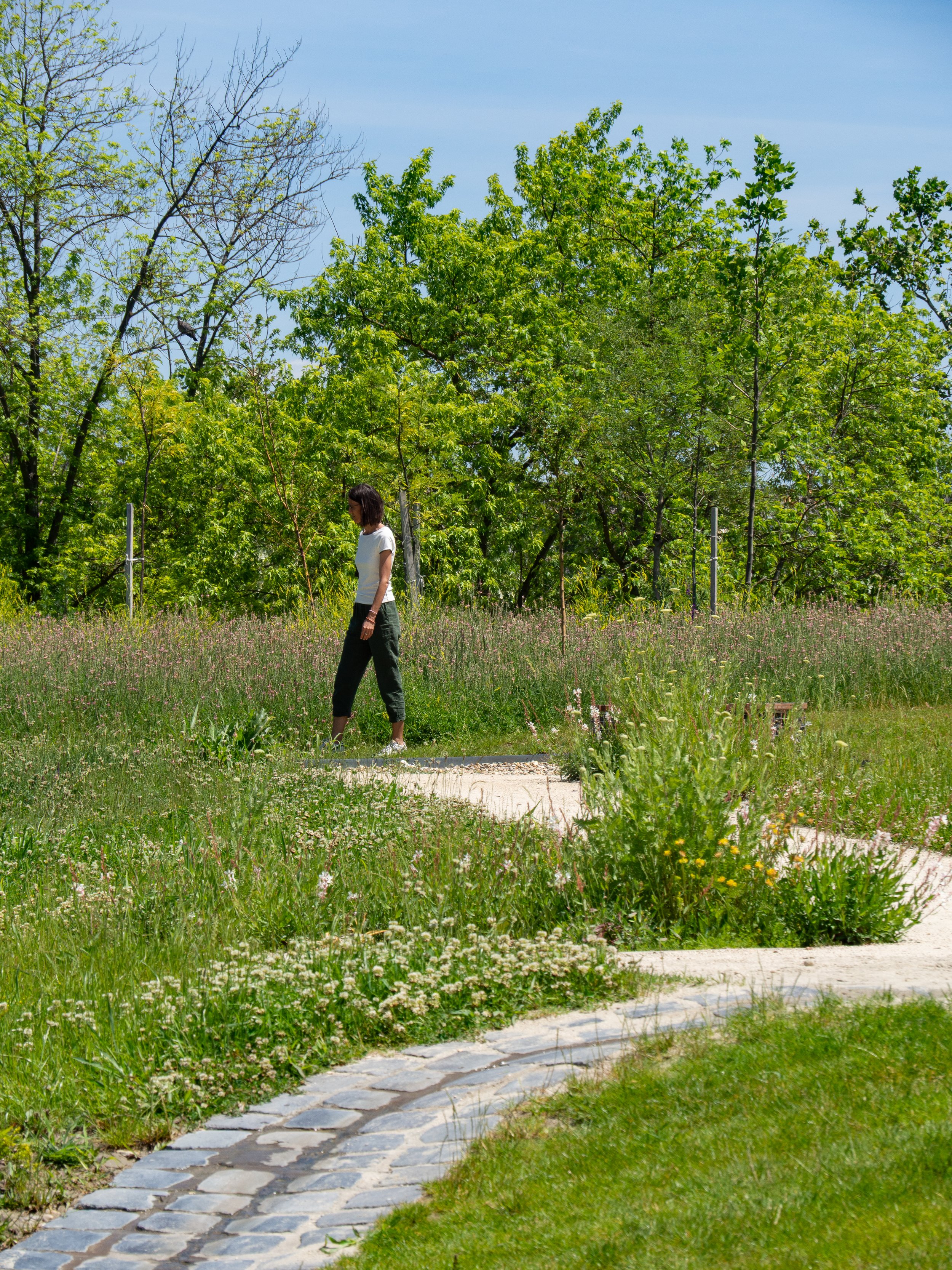 07_Z5290258.jpg