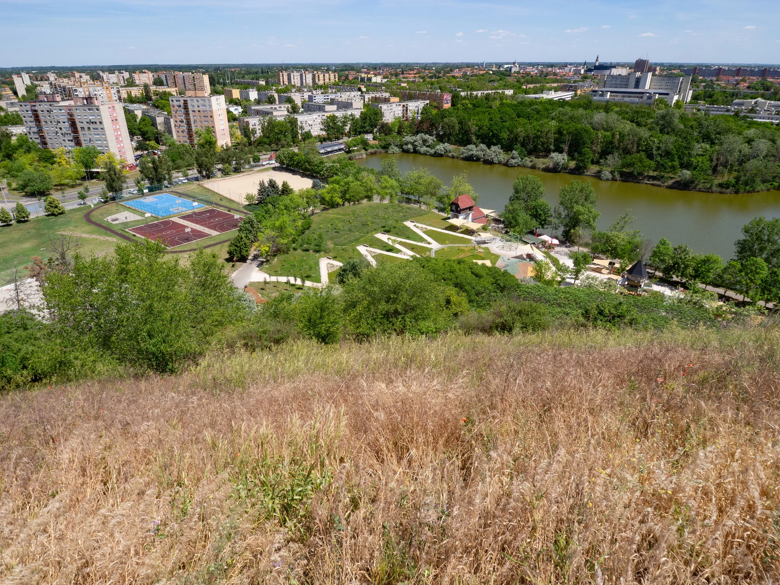 16_Z5290293.jpg